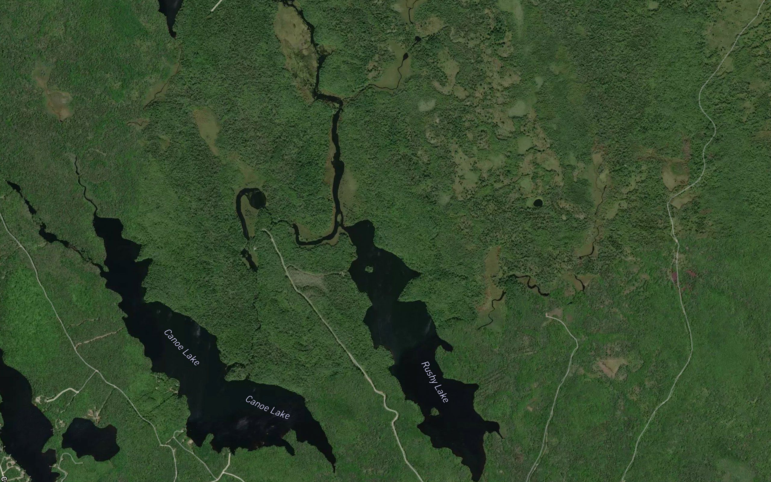 Rushy Lake
