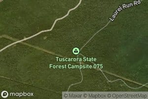 South Branch Laurel Run