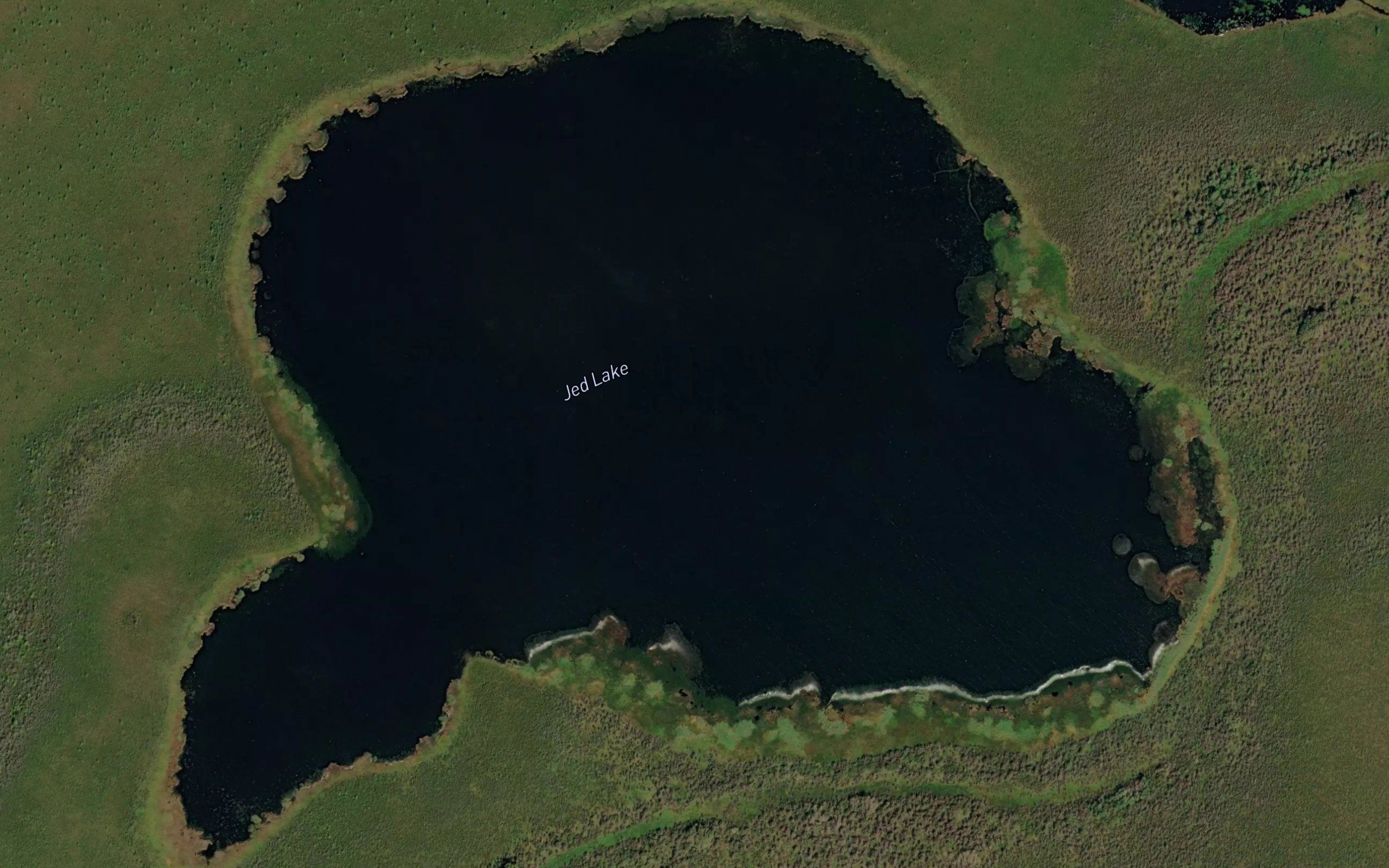 Jed Lake