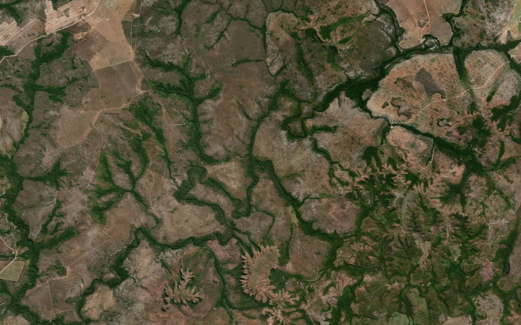 Satellite map of the Corrego Embira Branca