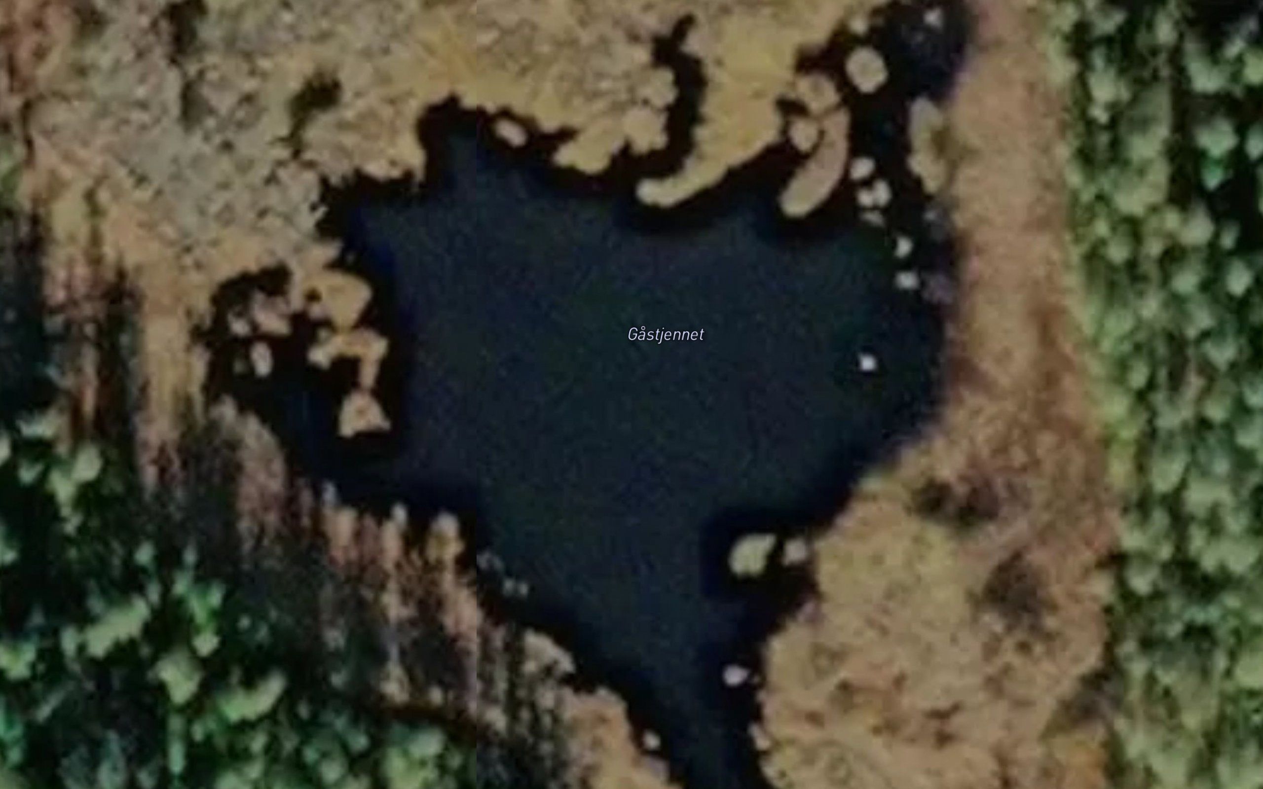 Gastjennet