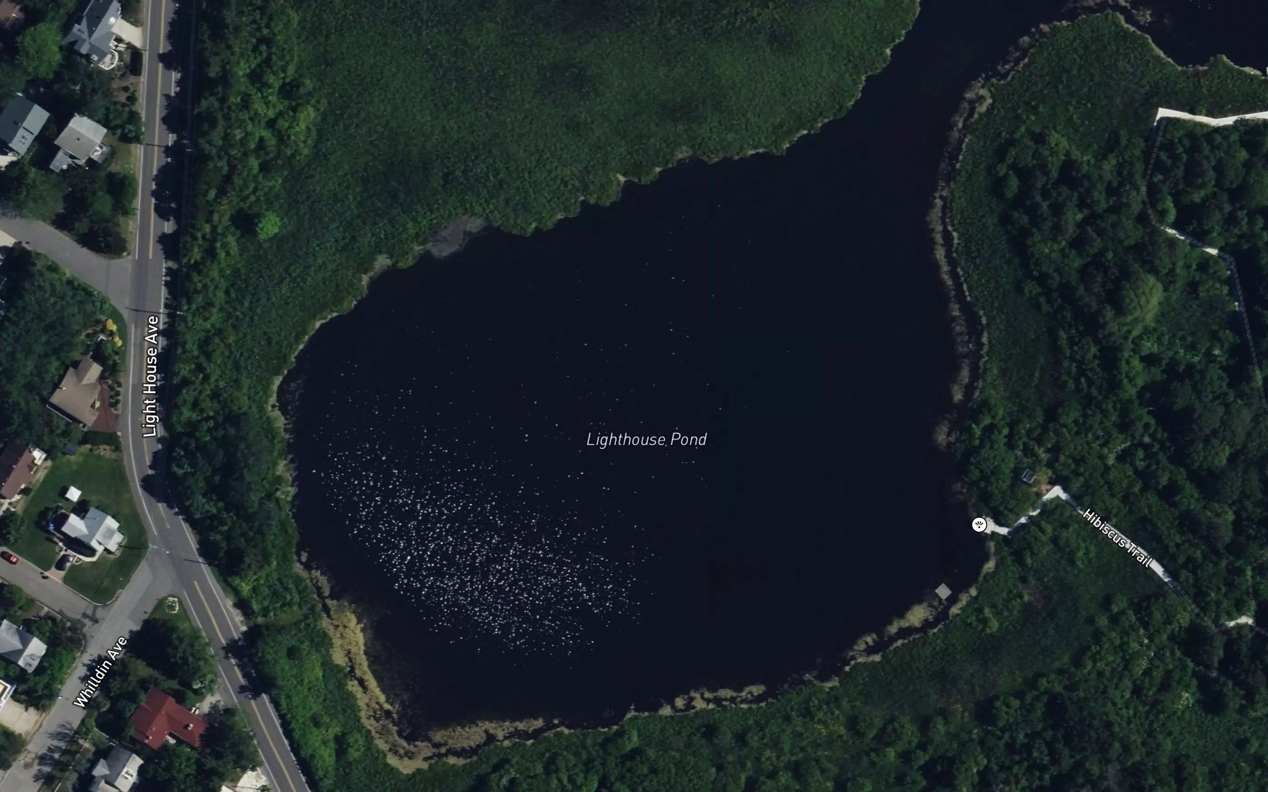 Lighthouse Pond