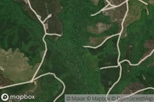 Little Pine Barren Creek