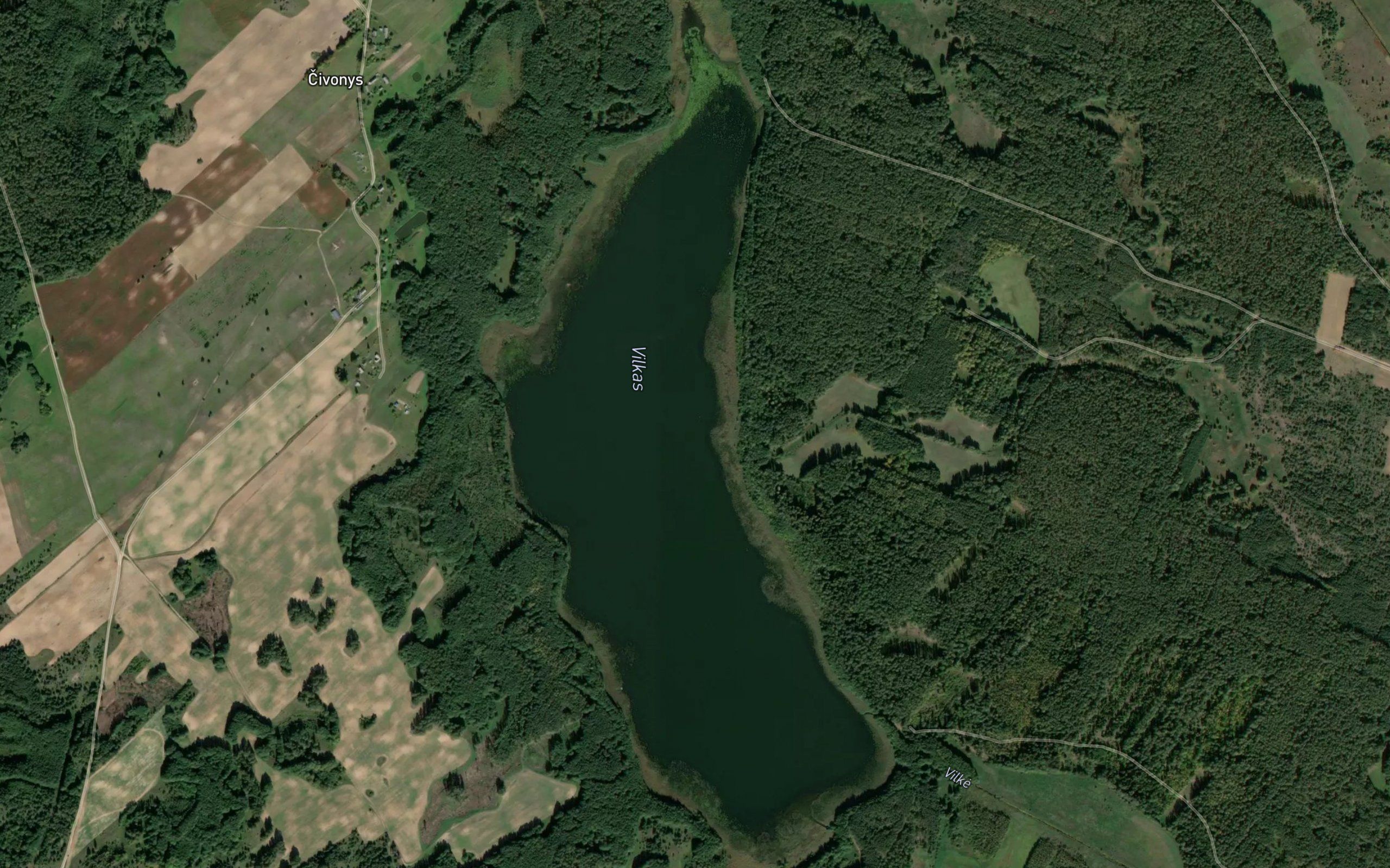Ezeras Vilkas