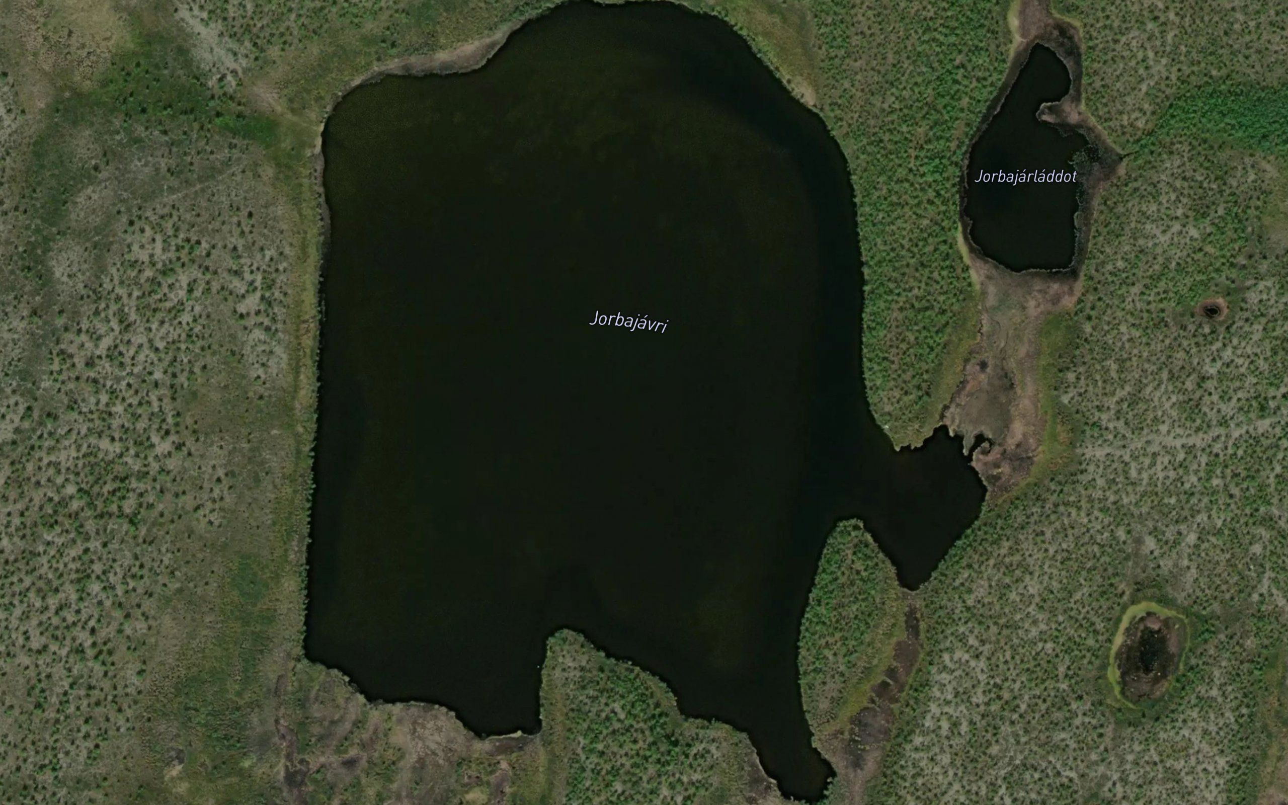 Jarbajavri