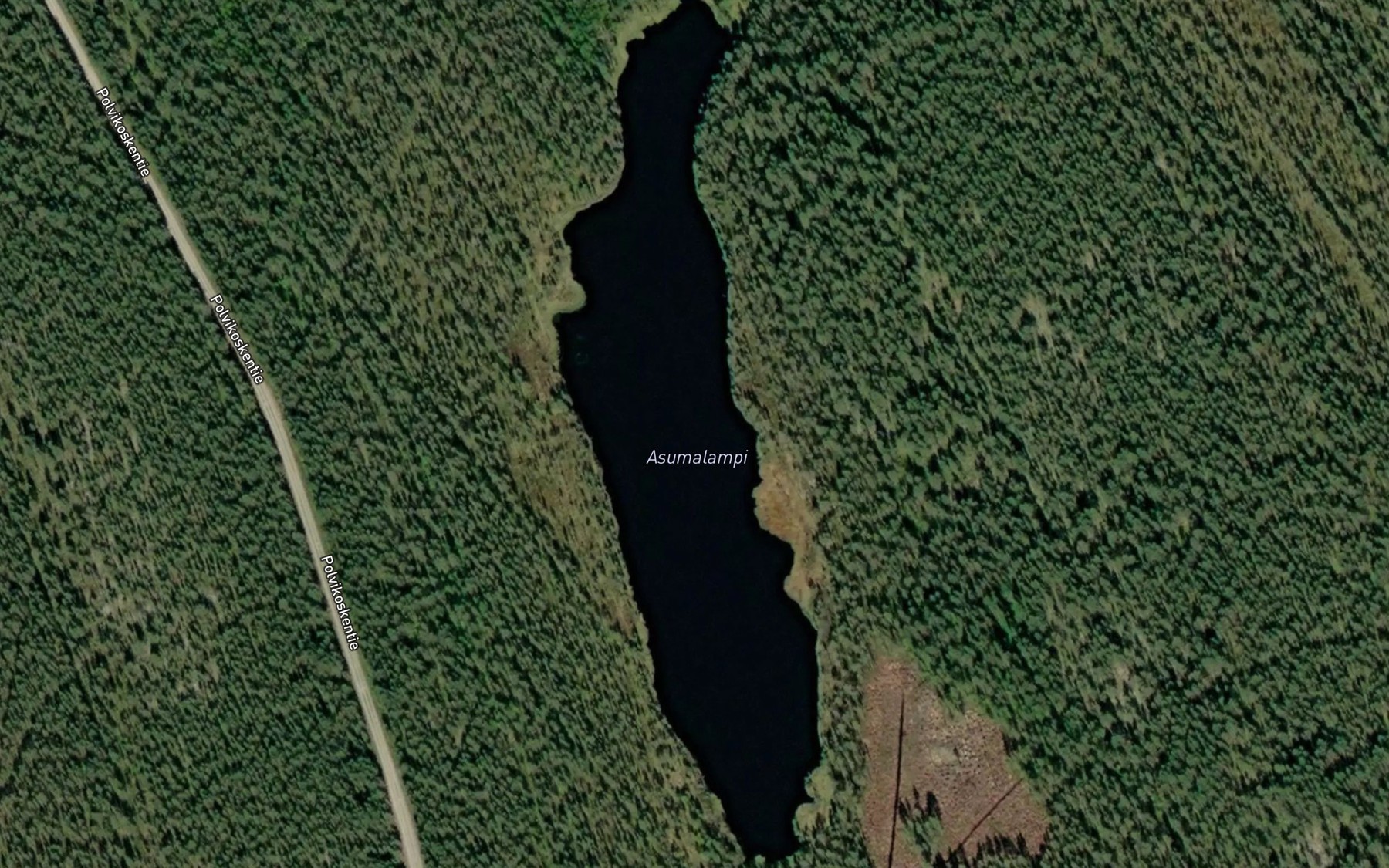 Satellite map of the Asumalampi