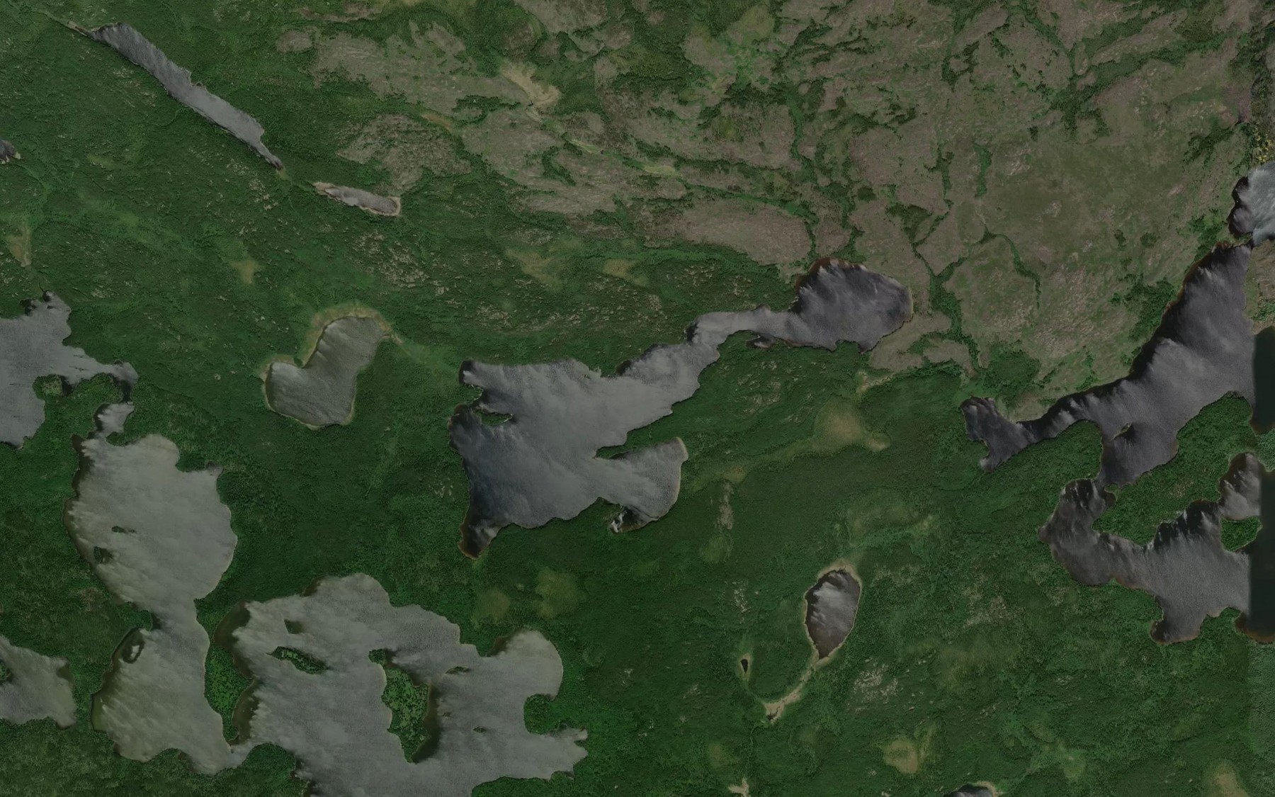 Satellite map of the Joneston Lake