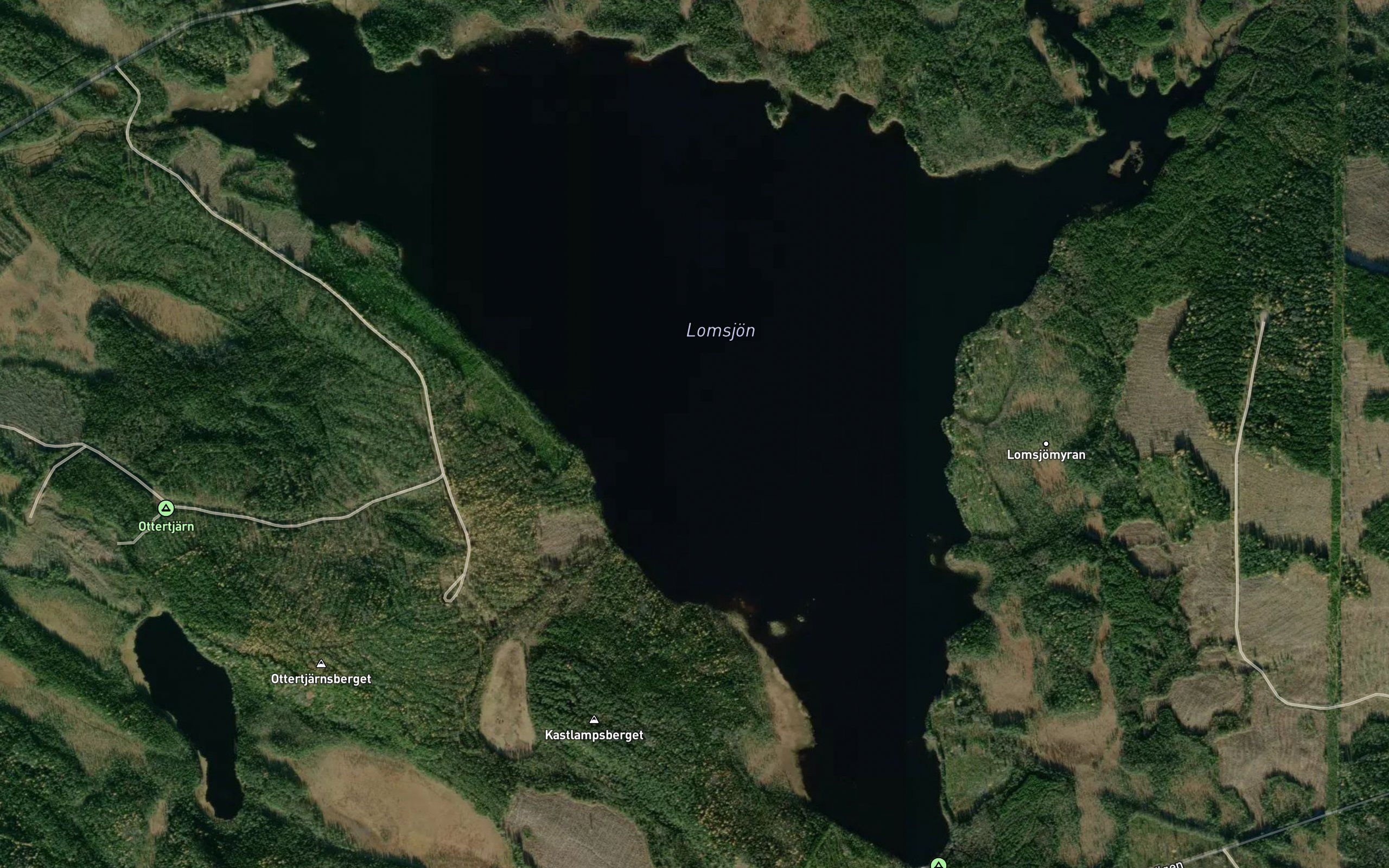 Lomsjon