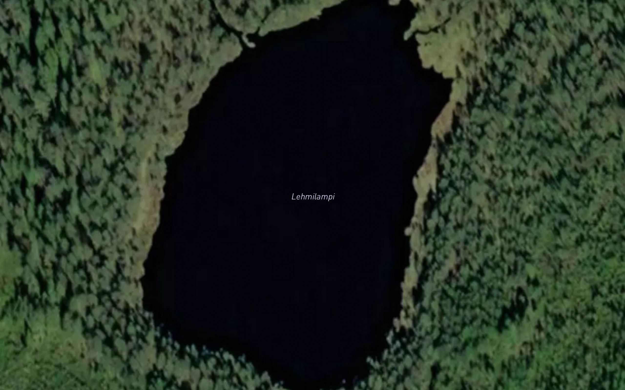 Lehmilampi