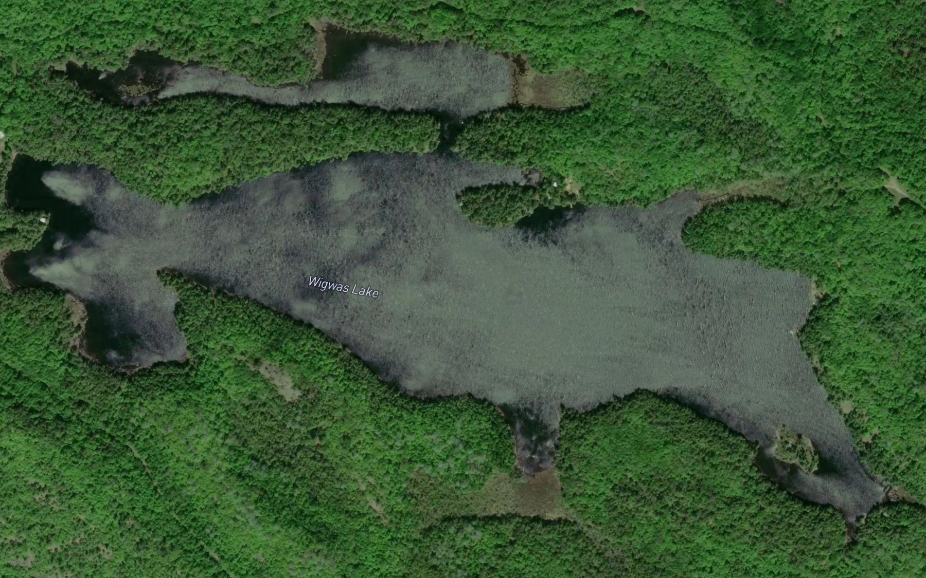 Satellite map of the Wigwas Lake