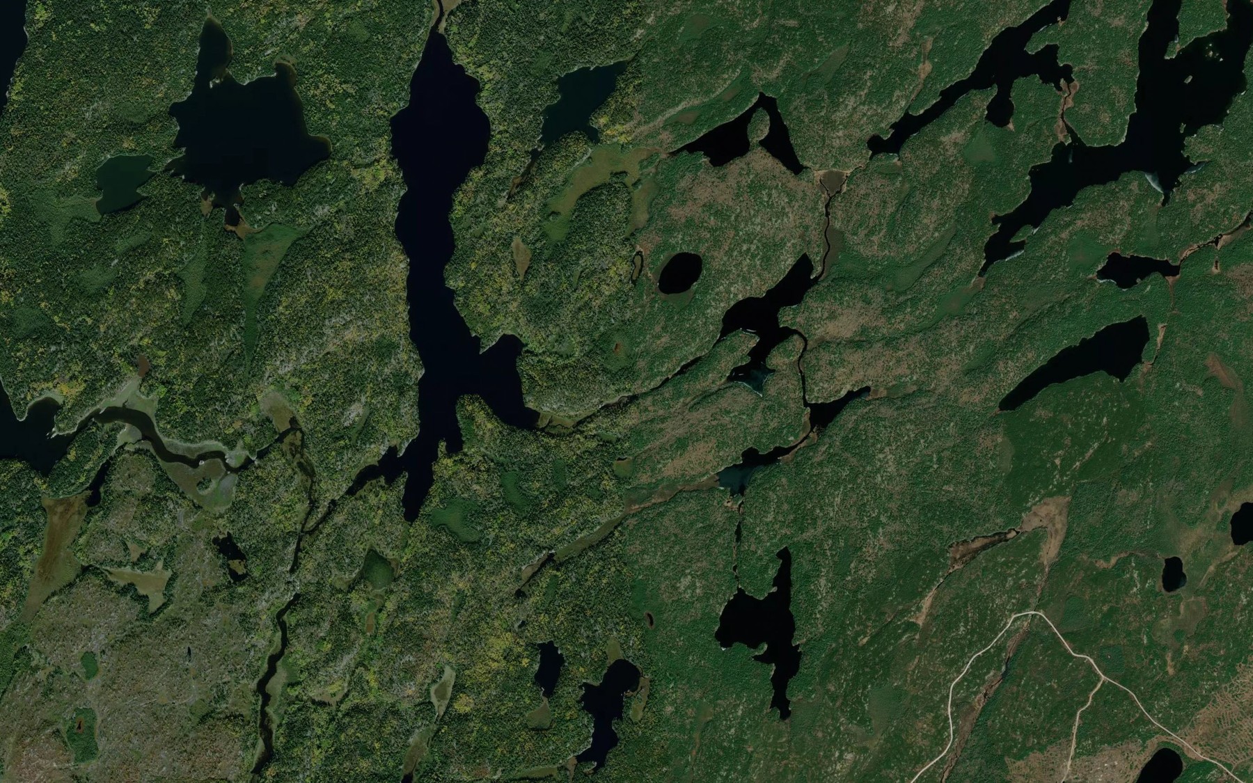 Satellite map of the Eldridge Creek