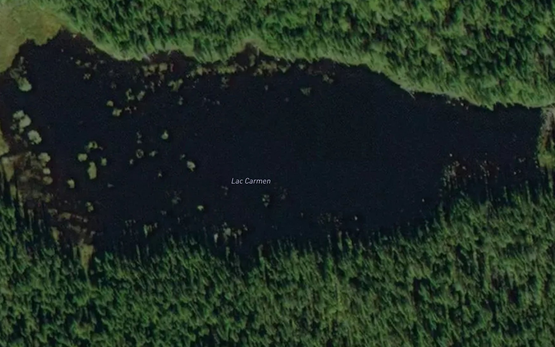 Satellite map of the Lac Carmen