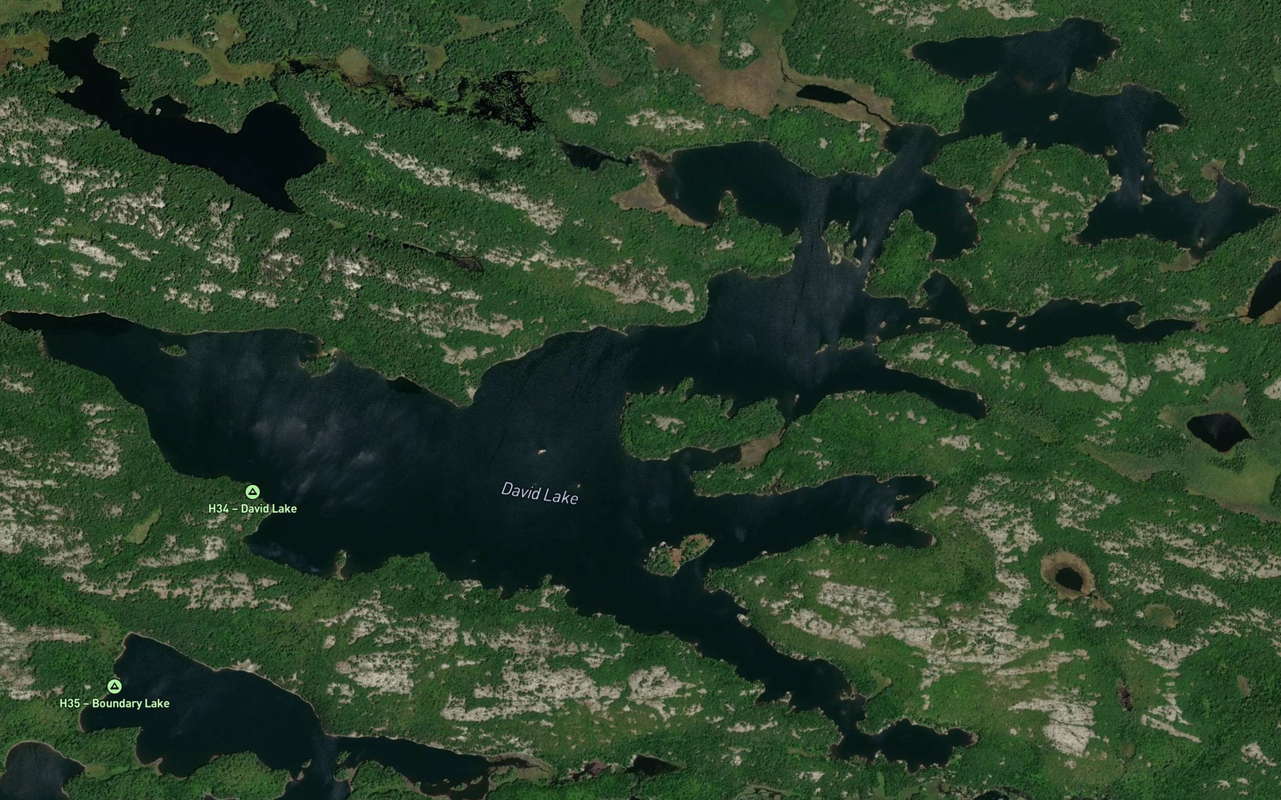 Satellite map of the David Lake