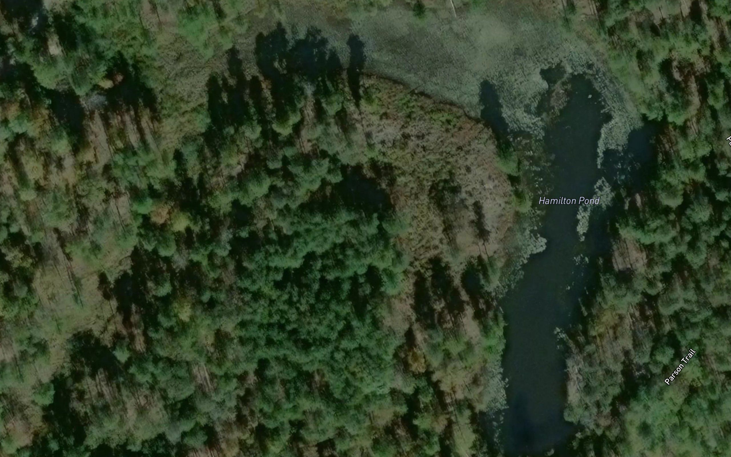 Hamilton Pond