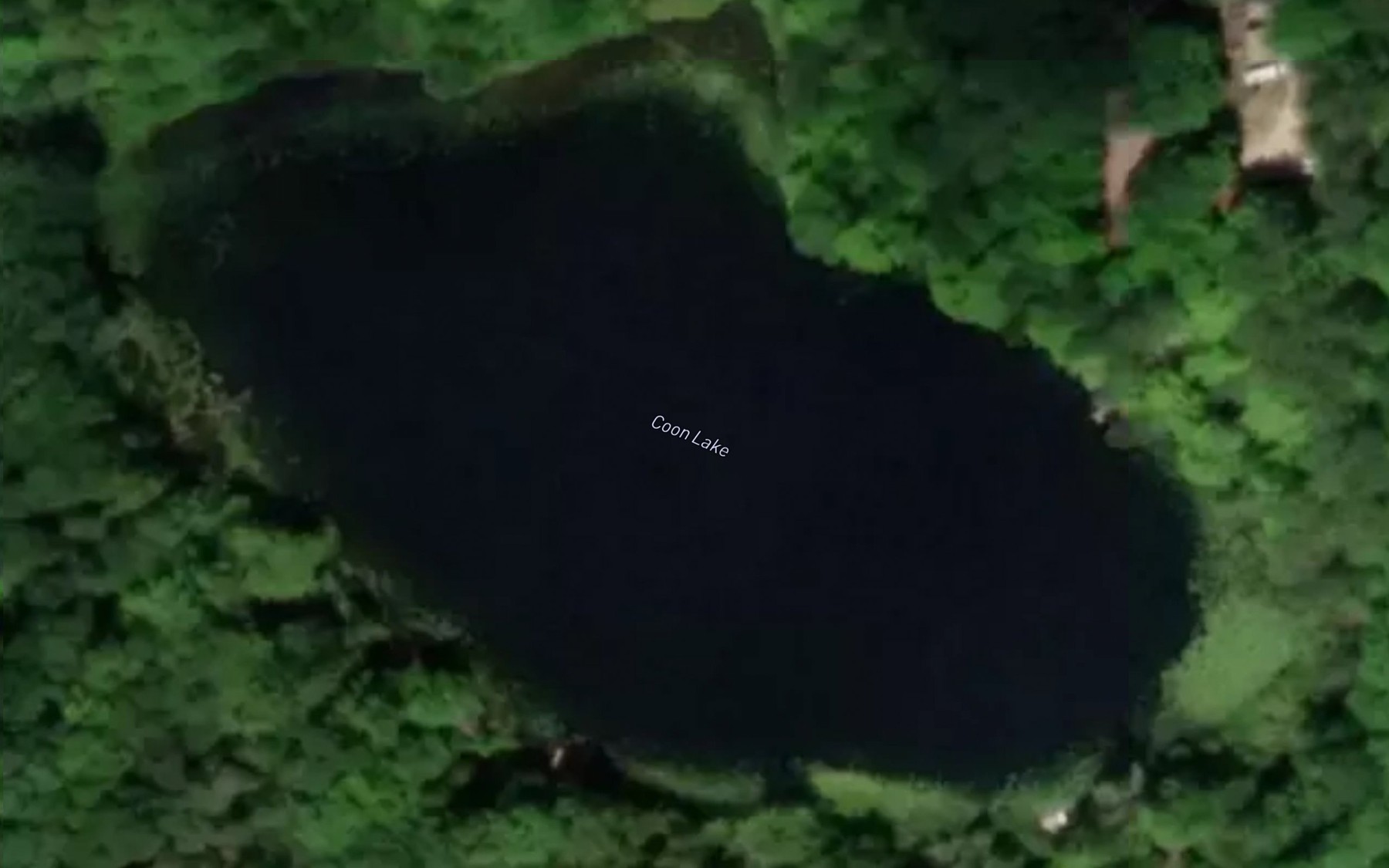Satellite map of the Coon Lake