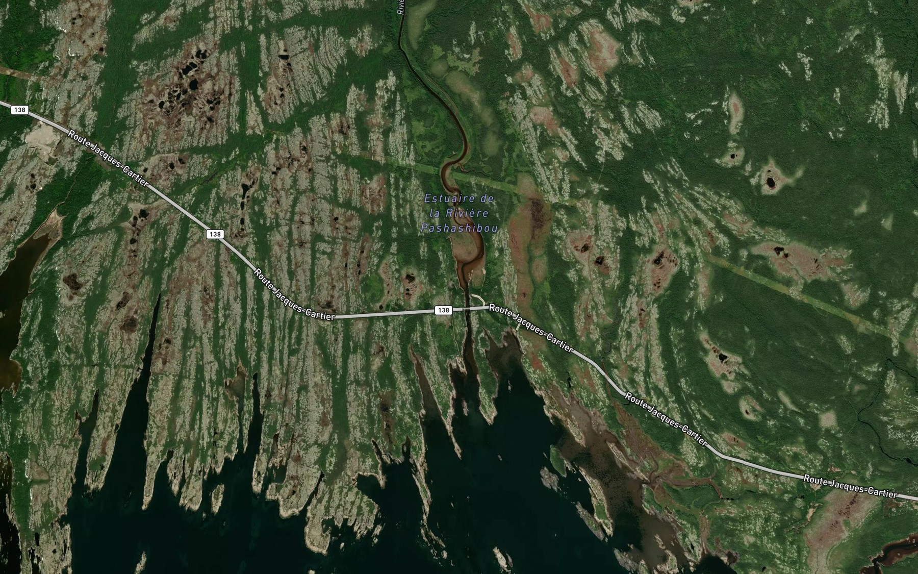 Satellite map of the Riviere Pashashibou