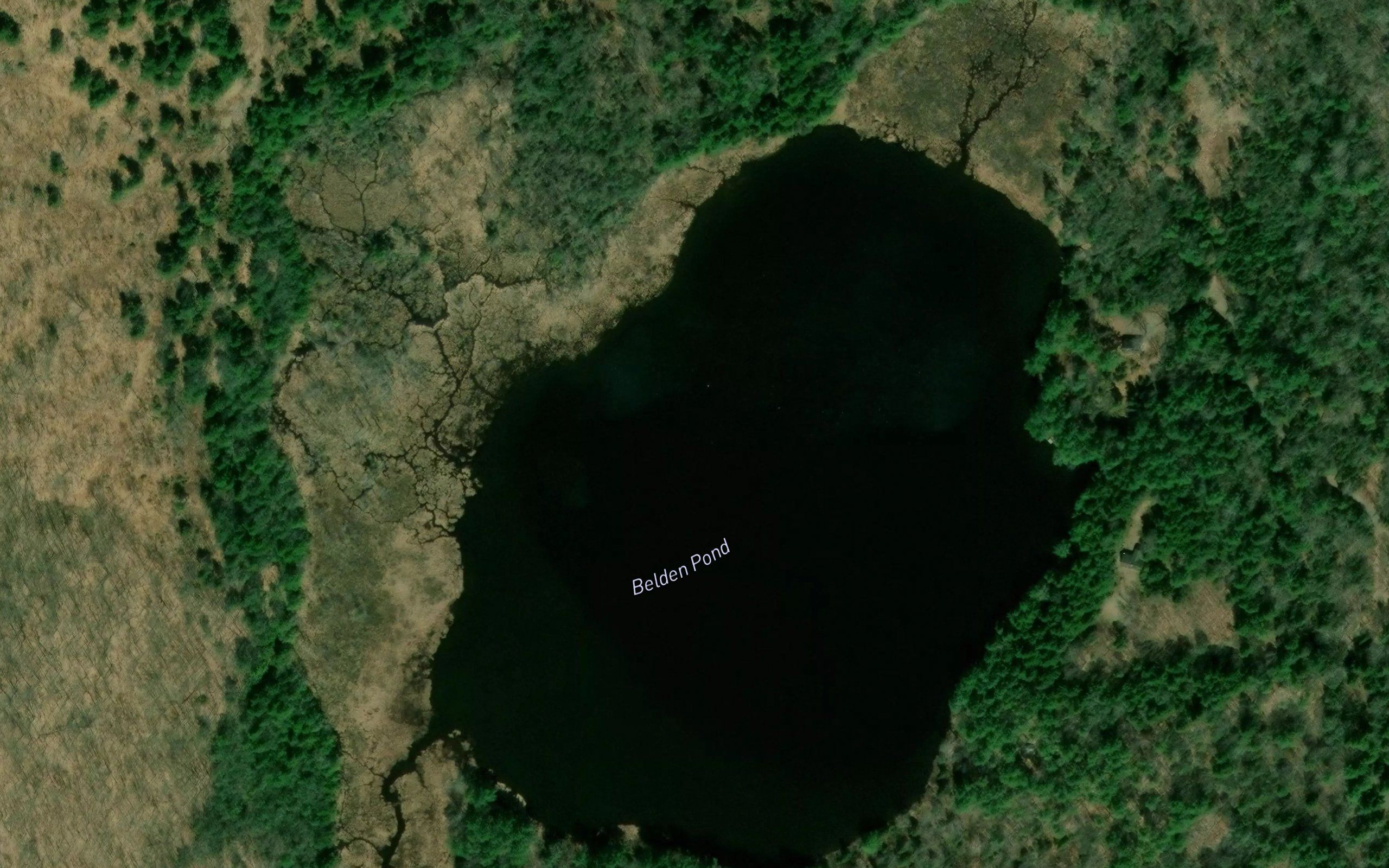 Belden Pond
