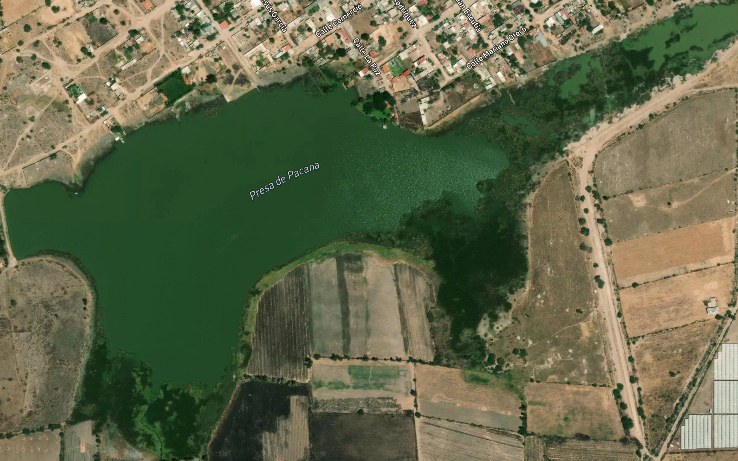 San Simon