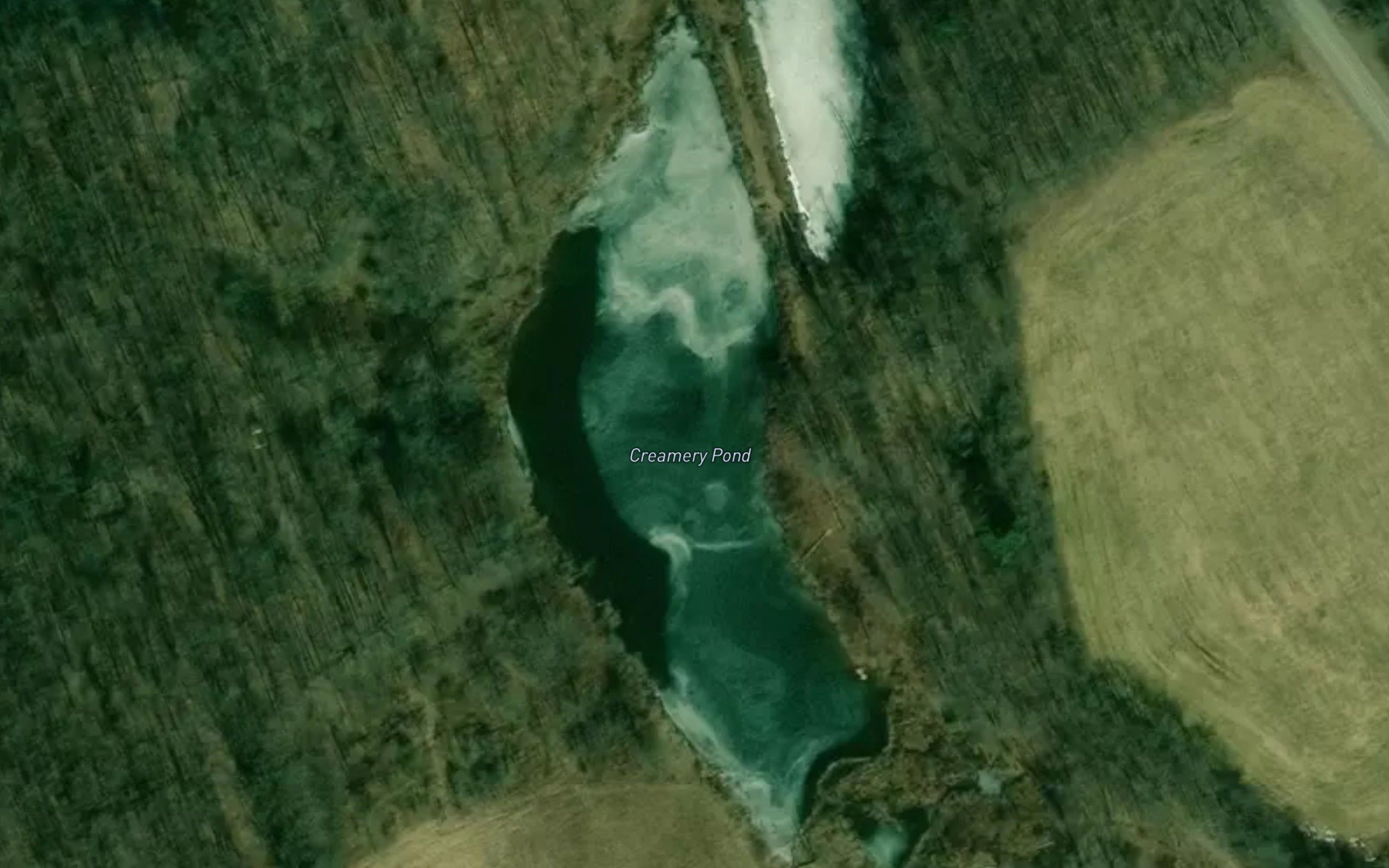 Creamery Pond