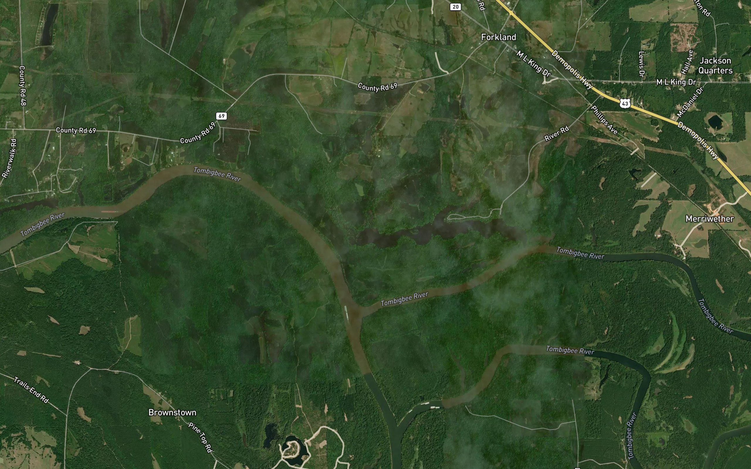 Cobb Branch