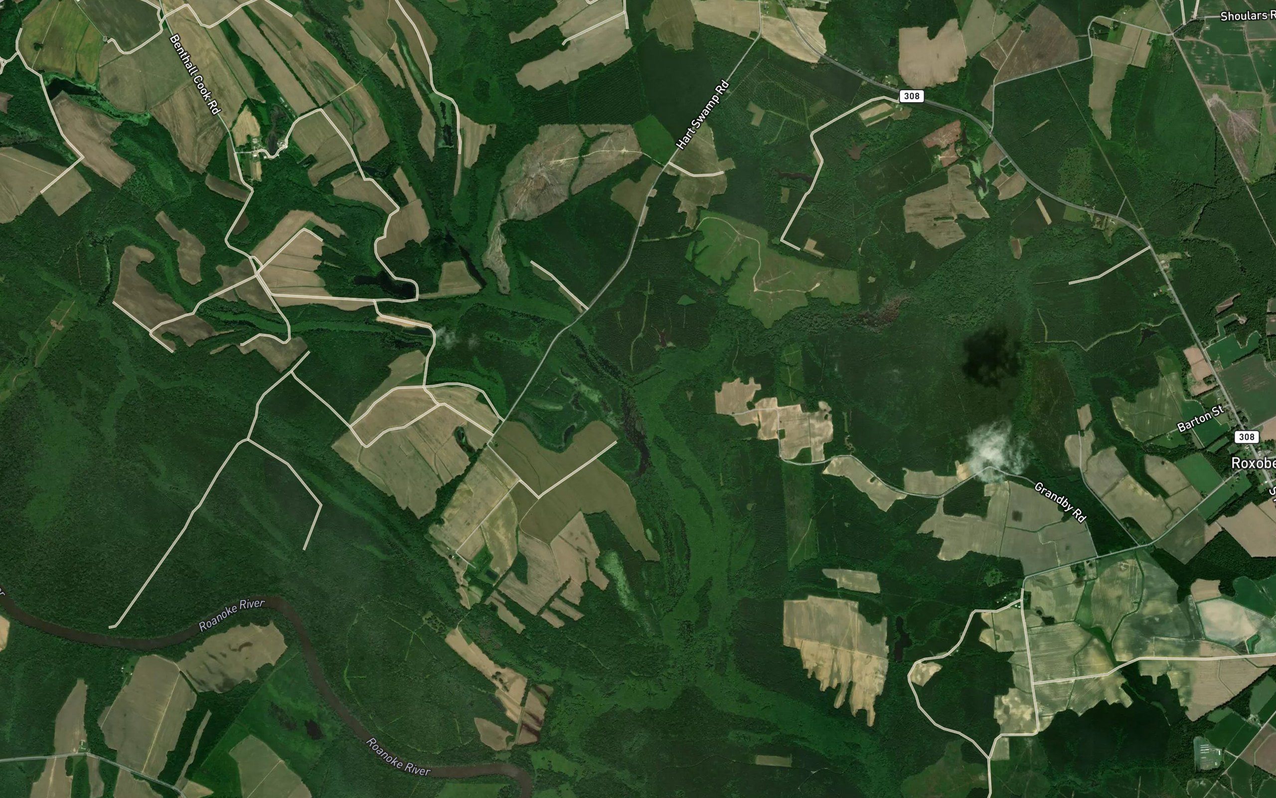 Bull Neck Swamp