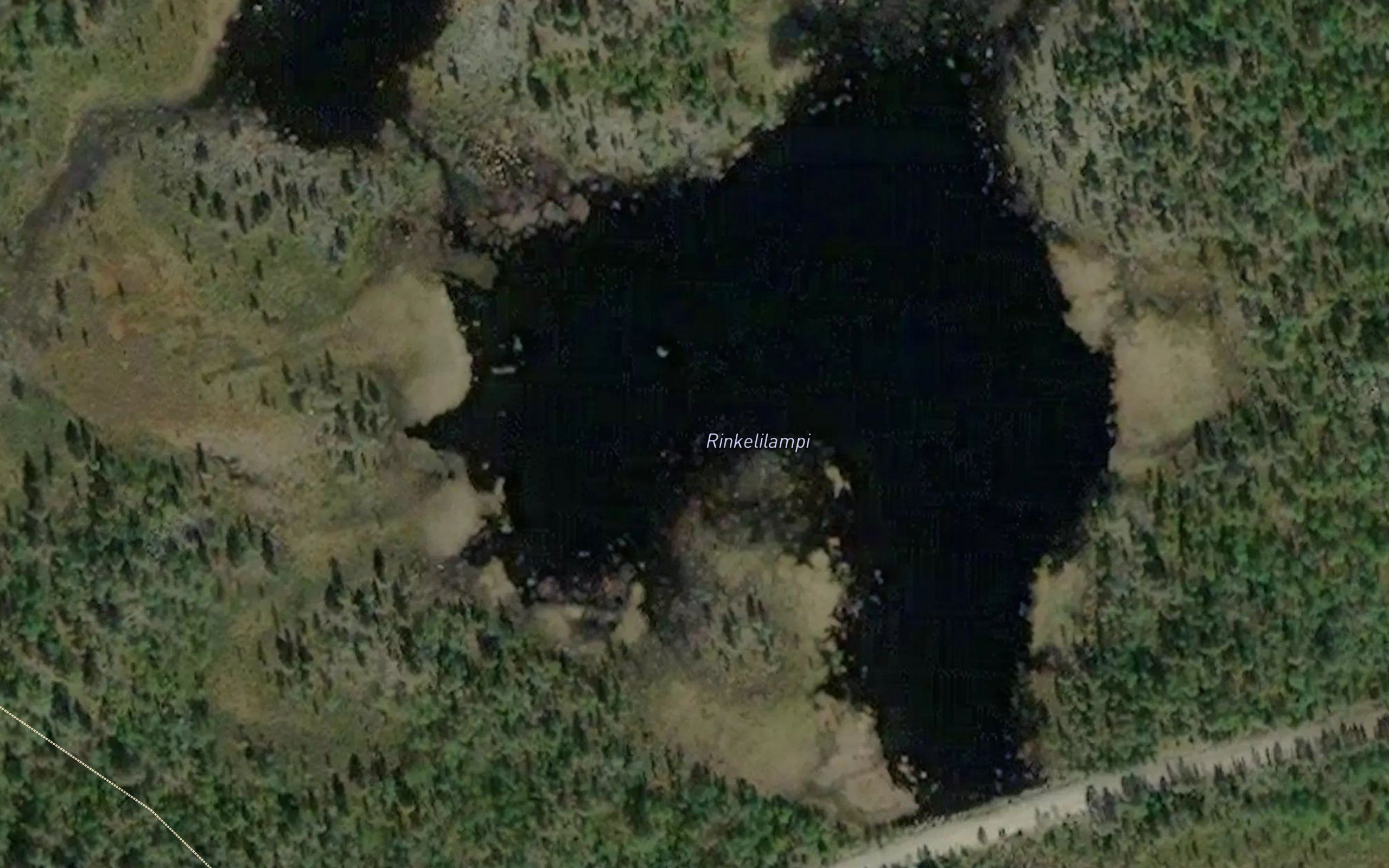Rinkelilampi
