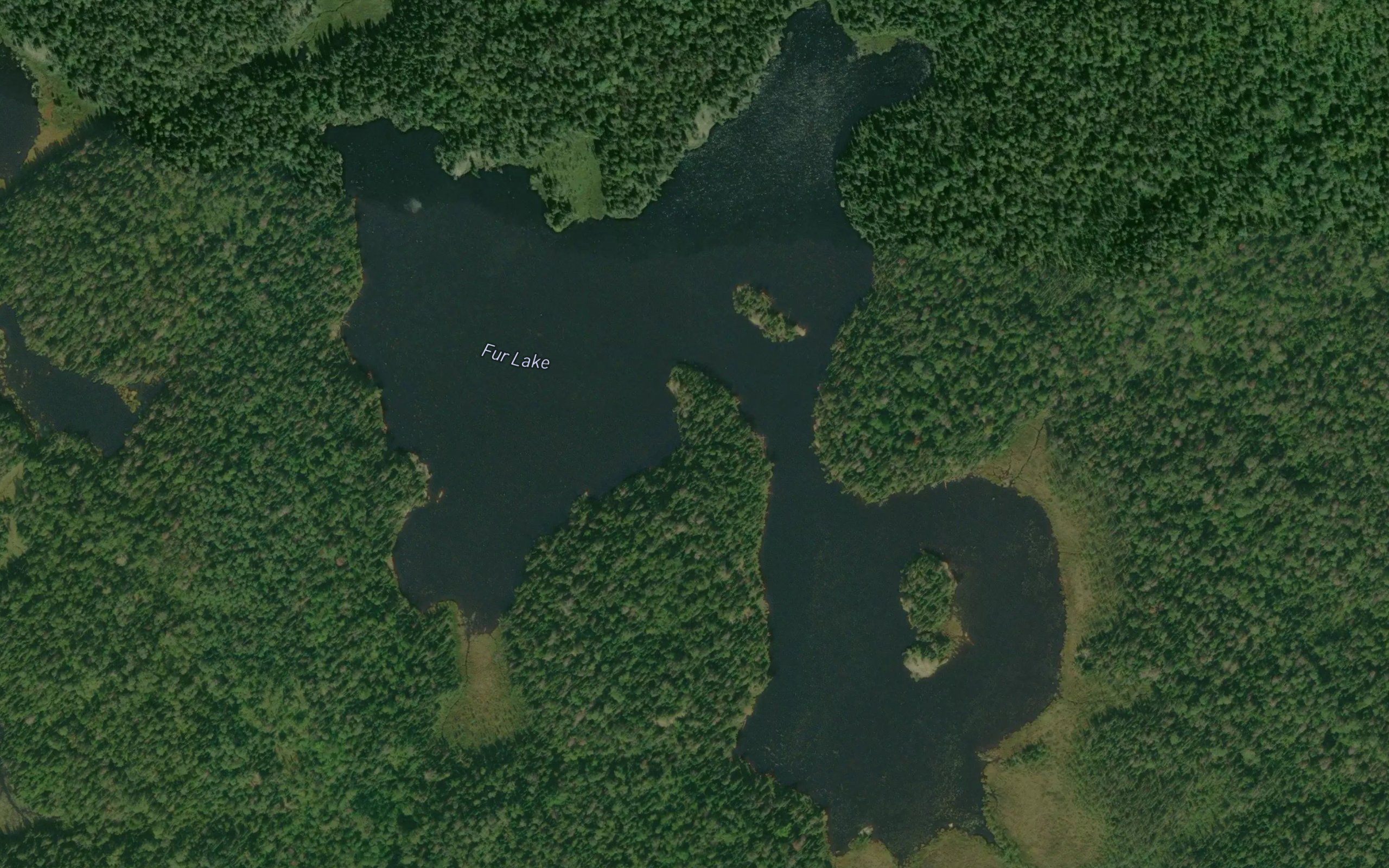 Fur Lake