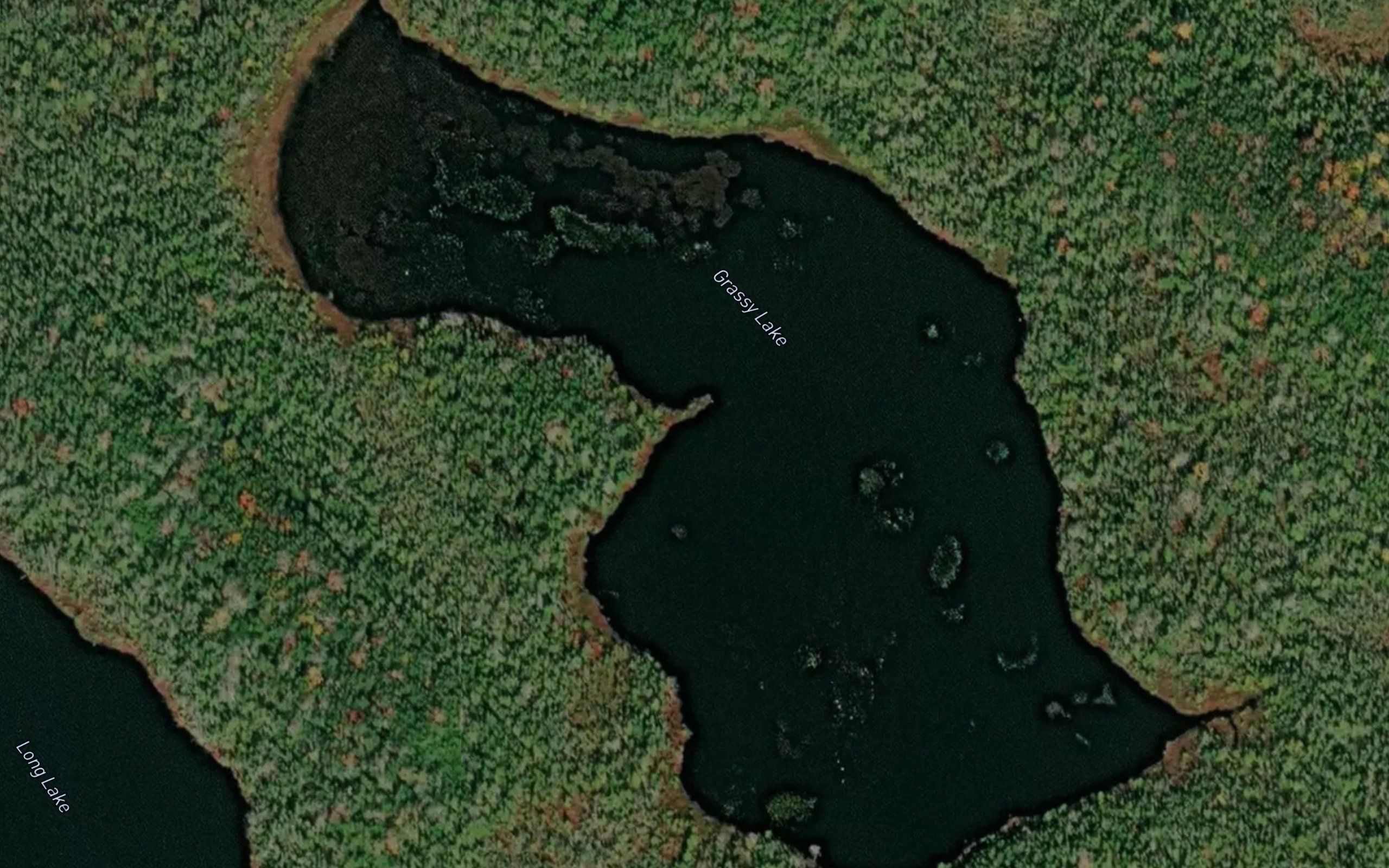 Grassy Lake