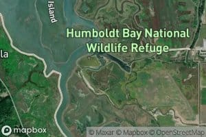 Salmon Creek