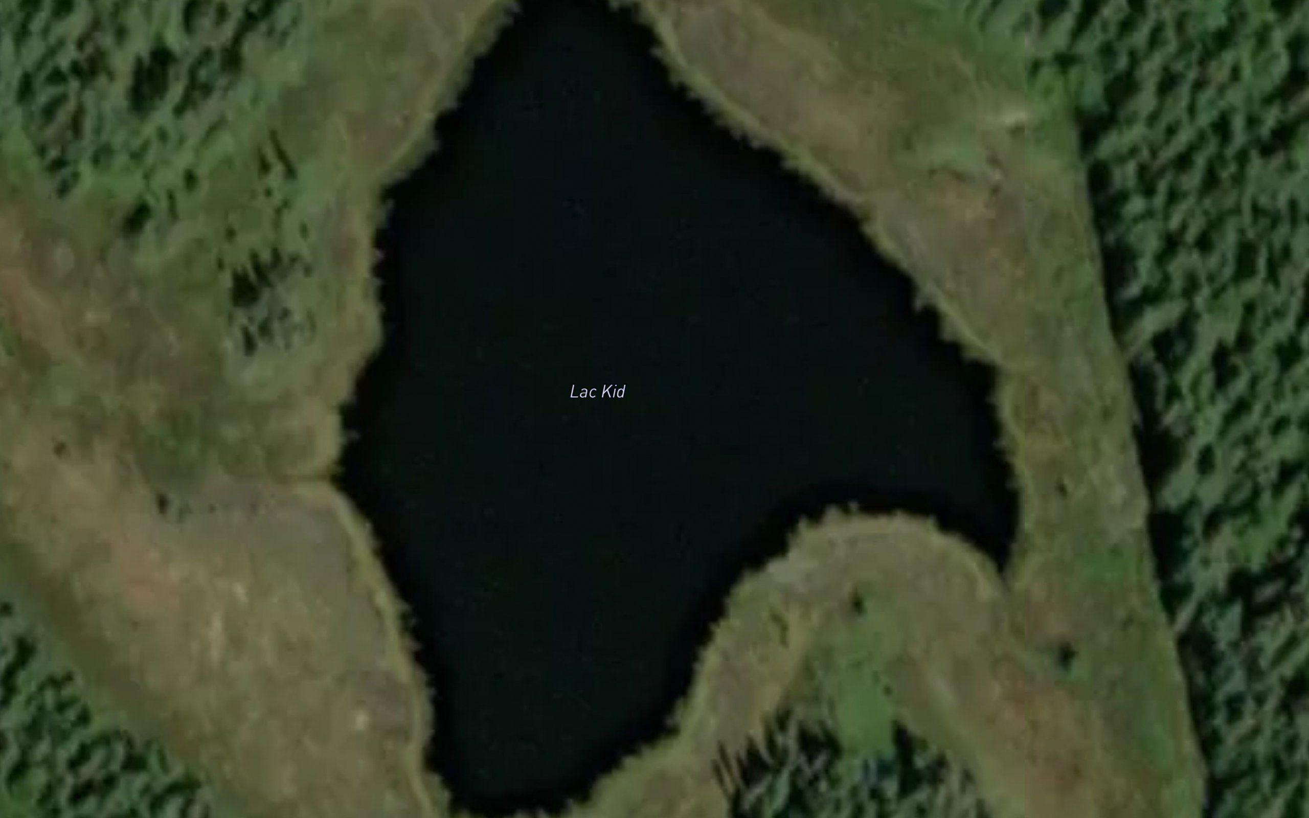 Lac Kid