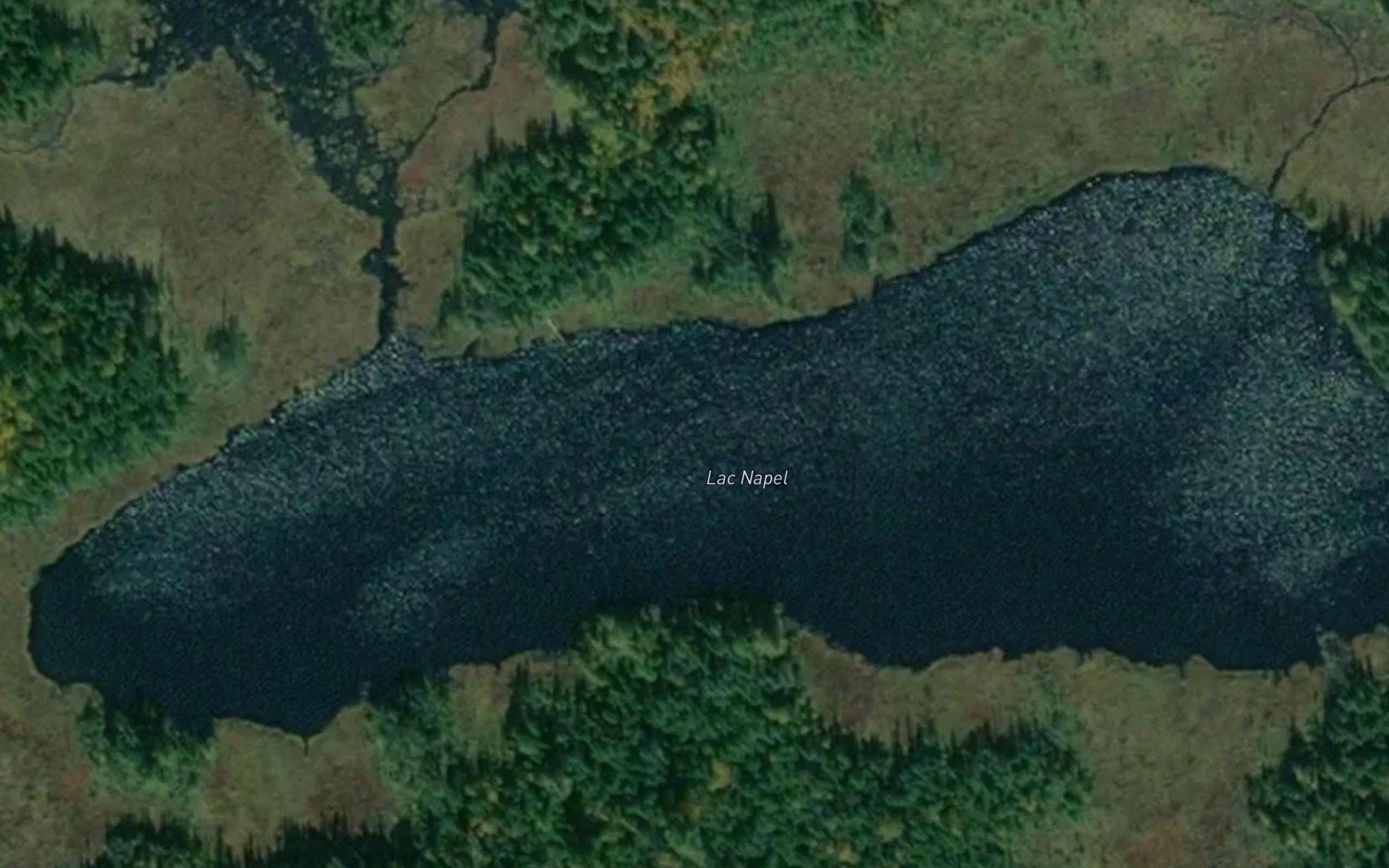 Lac Napel