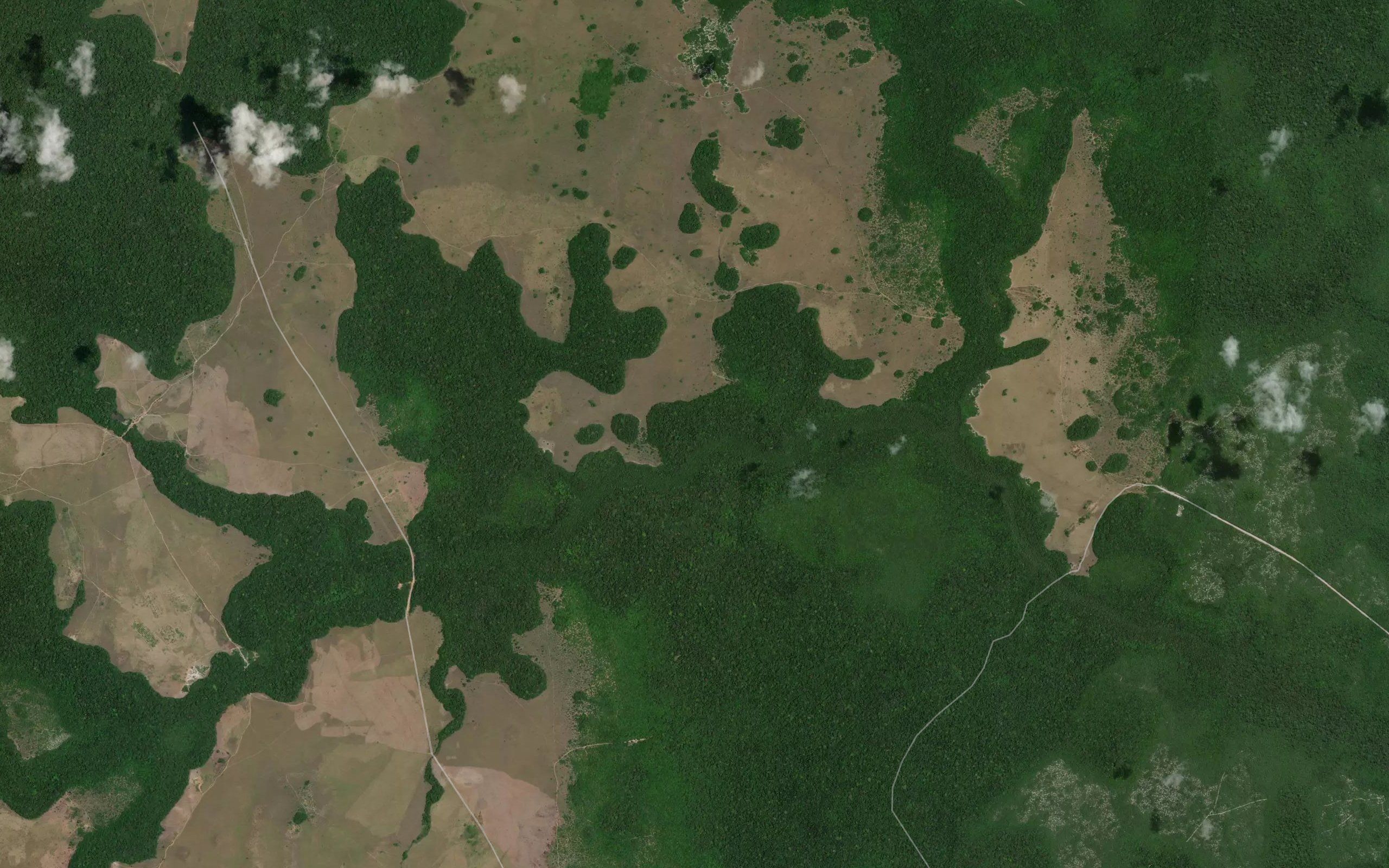 Buruma Creek