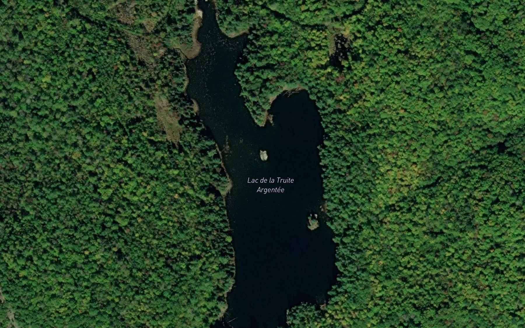 Satellite map of the Lac de la Truite Argentee