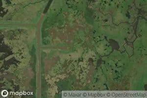 Deepwater Bayou