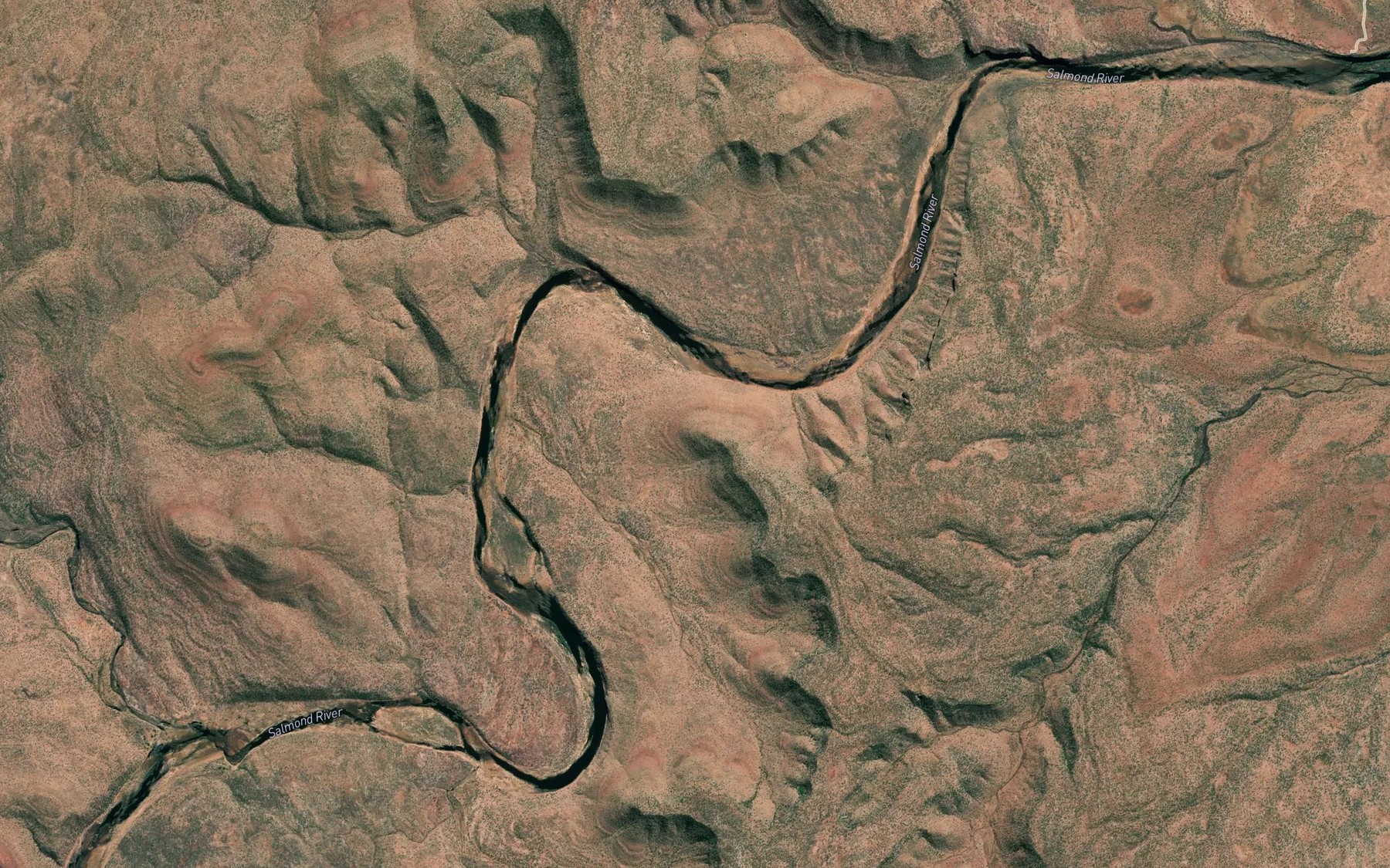 Satellite map of the Salmond River