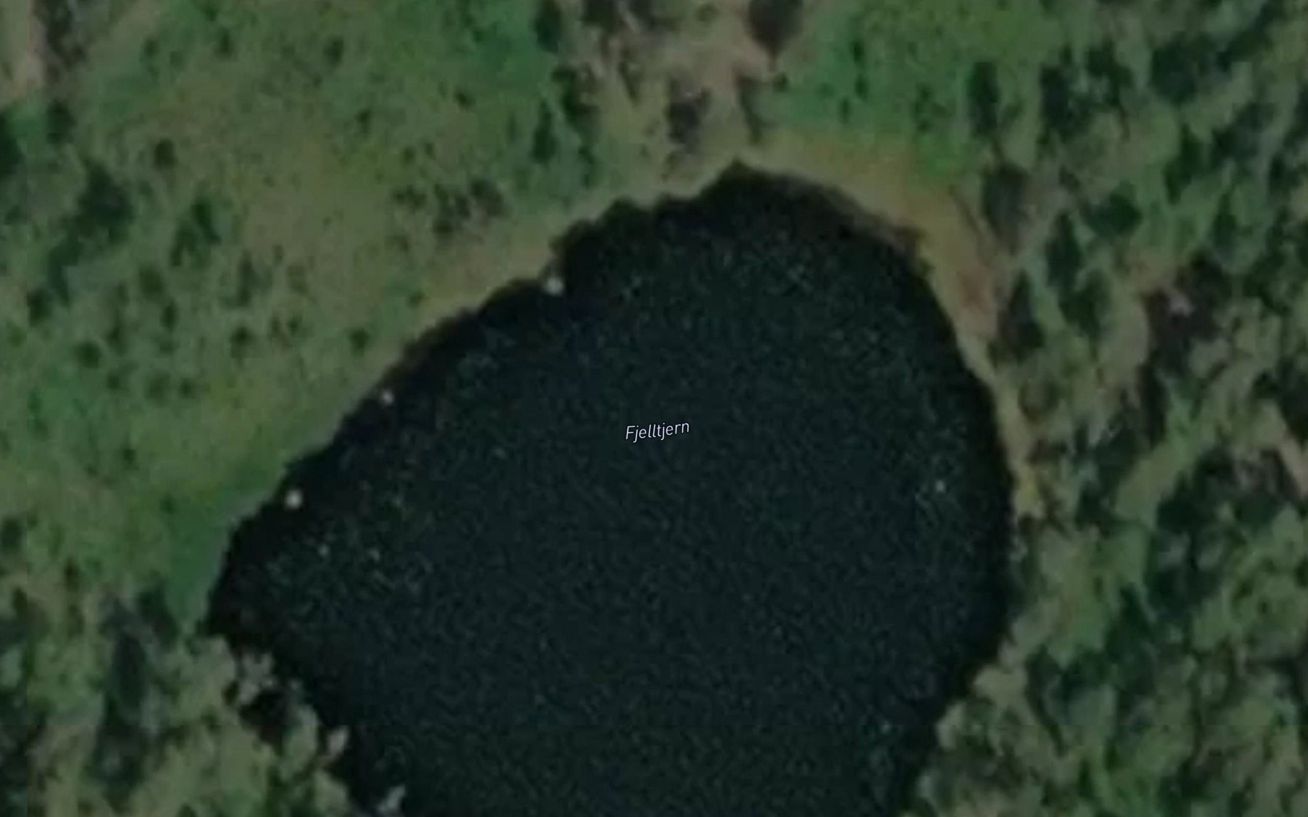 Fjelltjern