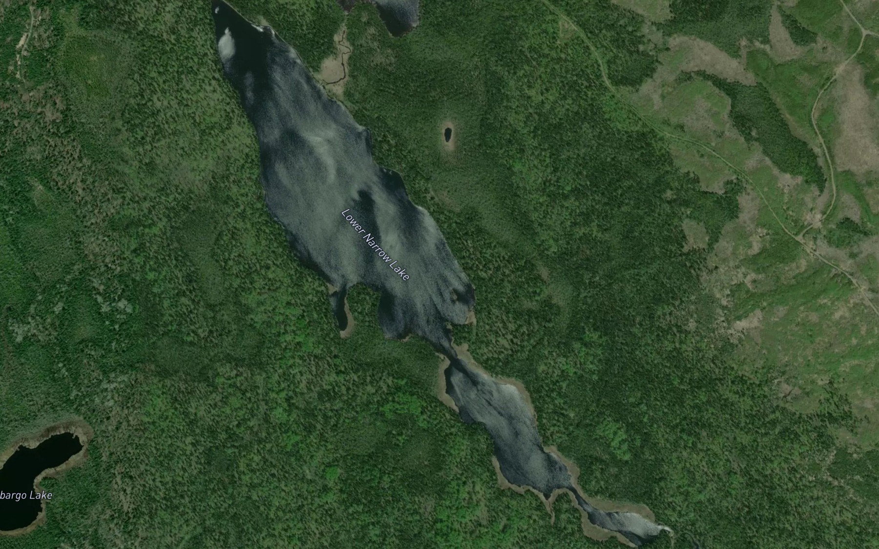 Satellite map of the Lower Narrow Lake