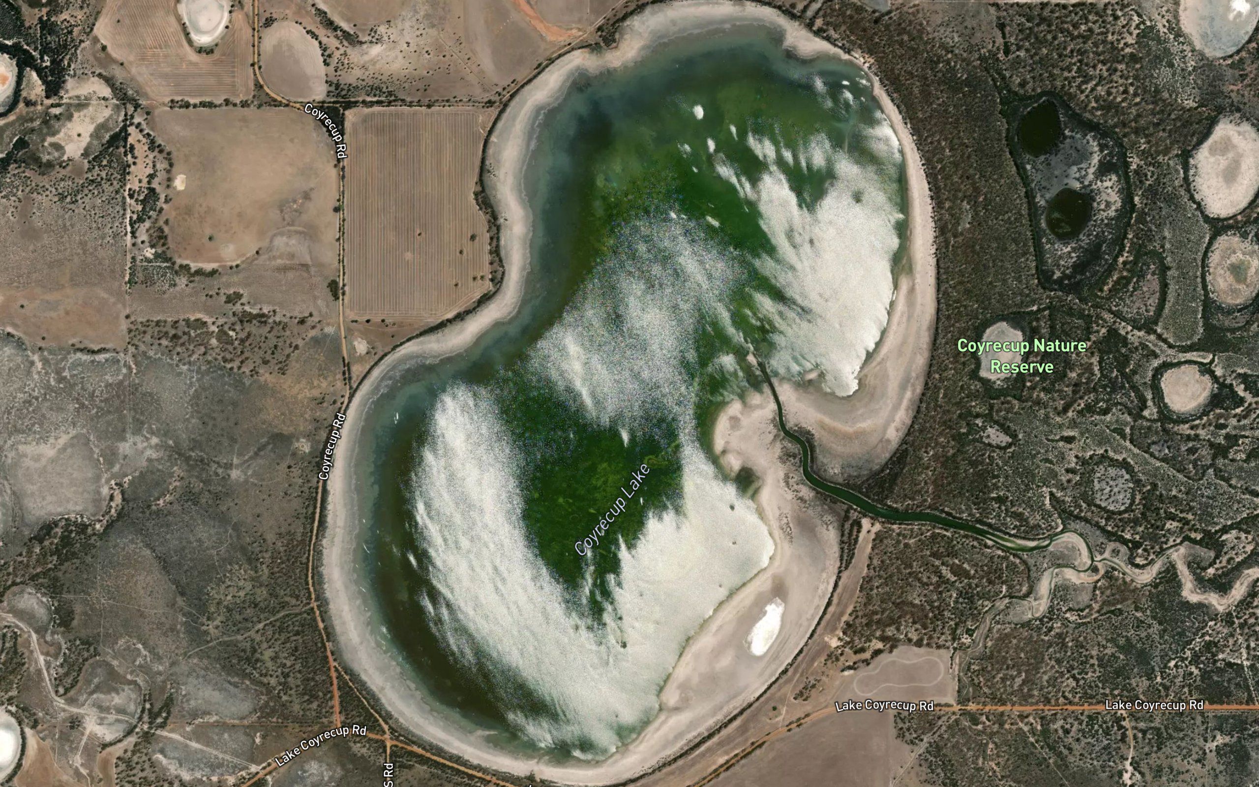 Coyrecup Lake