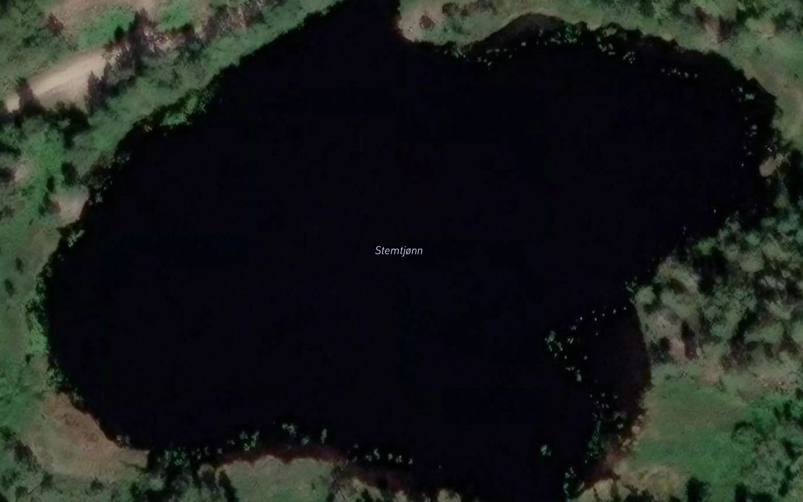 Stemtjorna