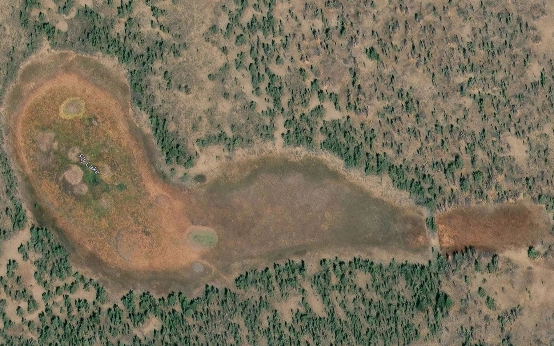 Satellite map of the Fly Lake