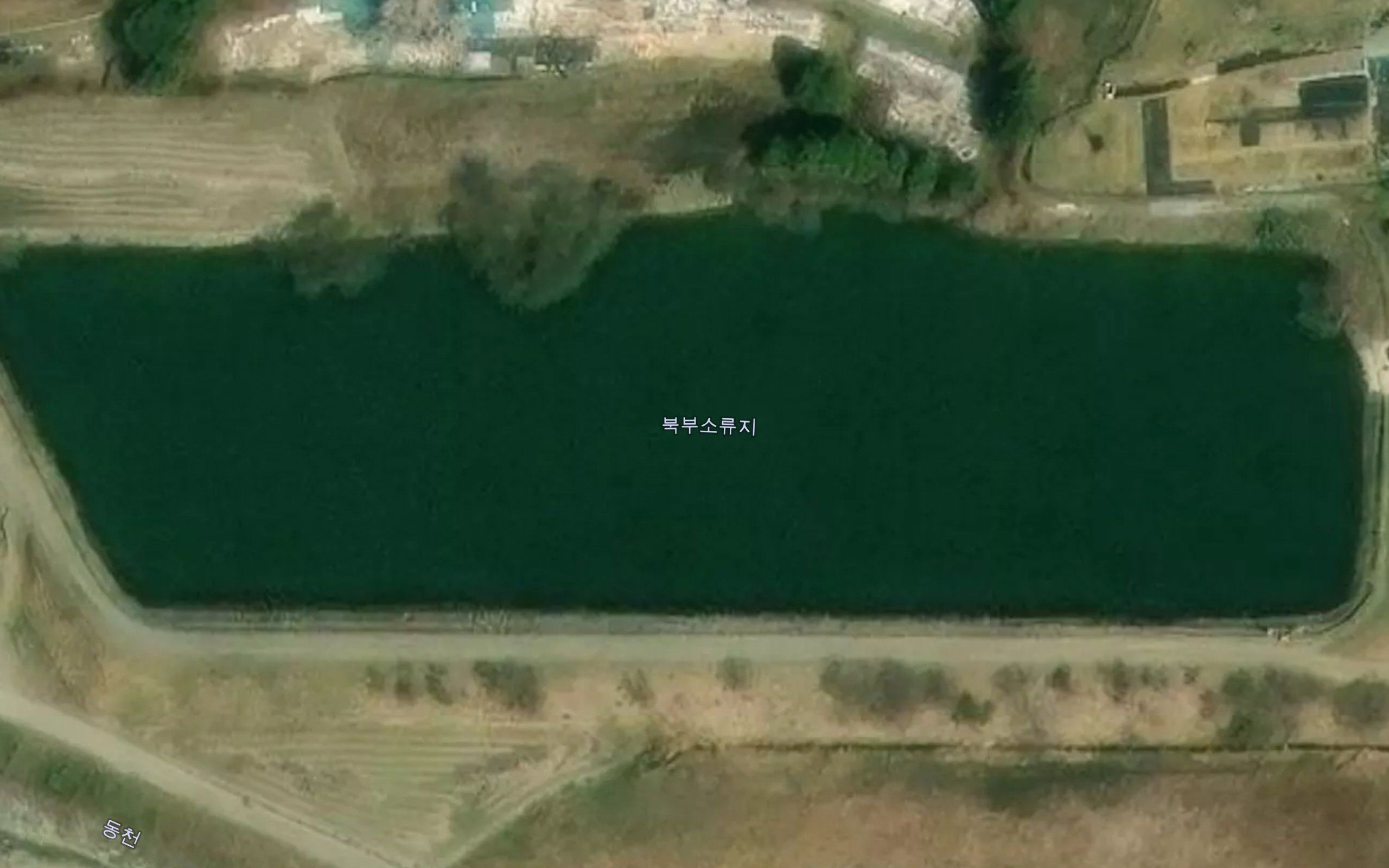 Bukbusoryuji