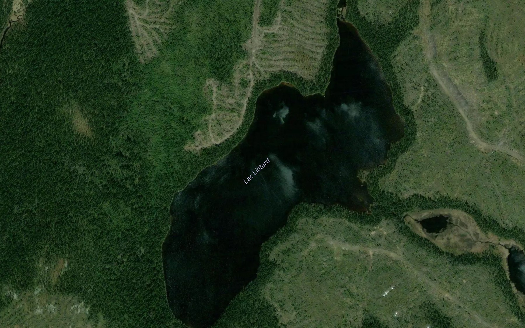 Satellite map of the Lac Liotard
