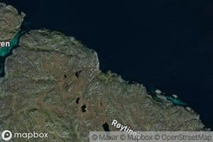 Tytebaervika