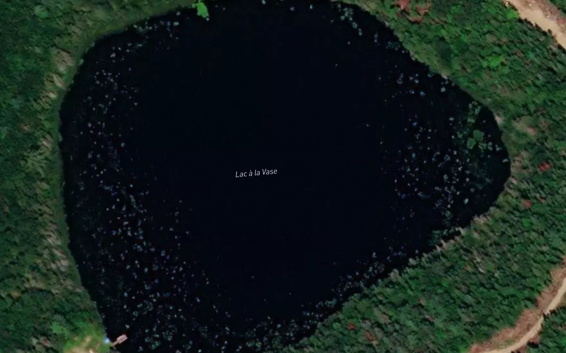 Satellite map of the Lac a la Vase