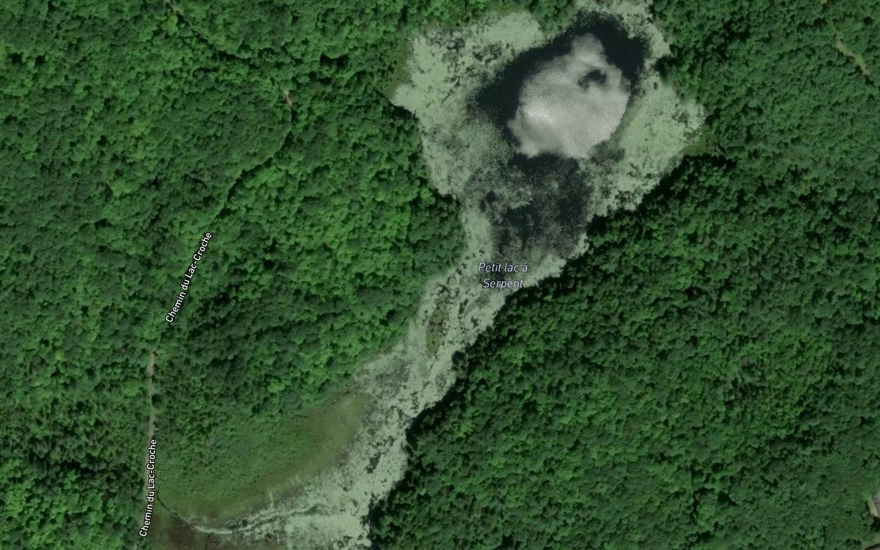 Satellite map of the Petit lac a Serpent