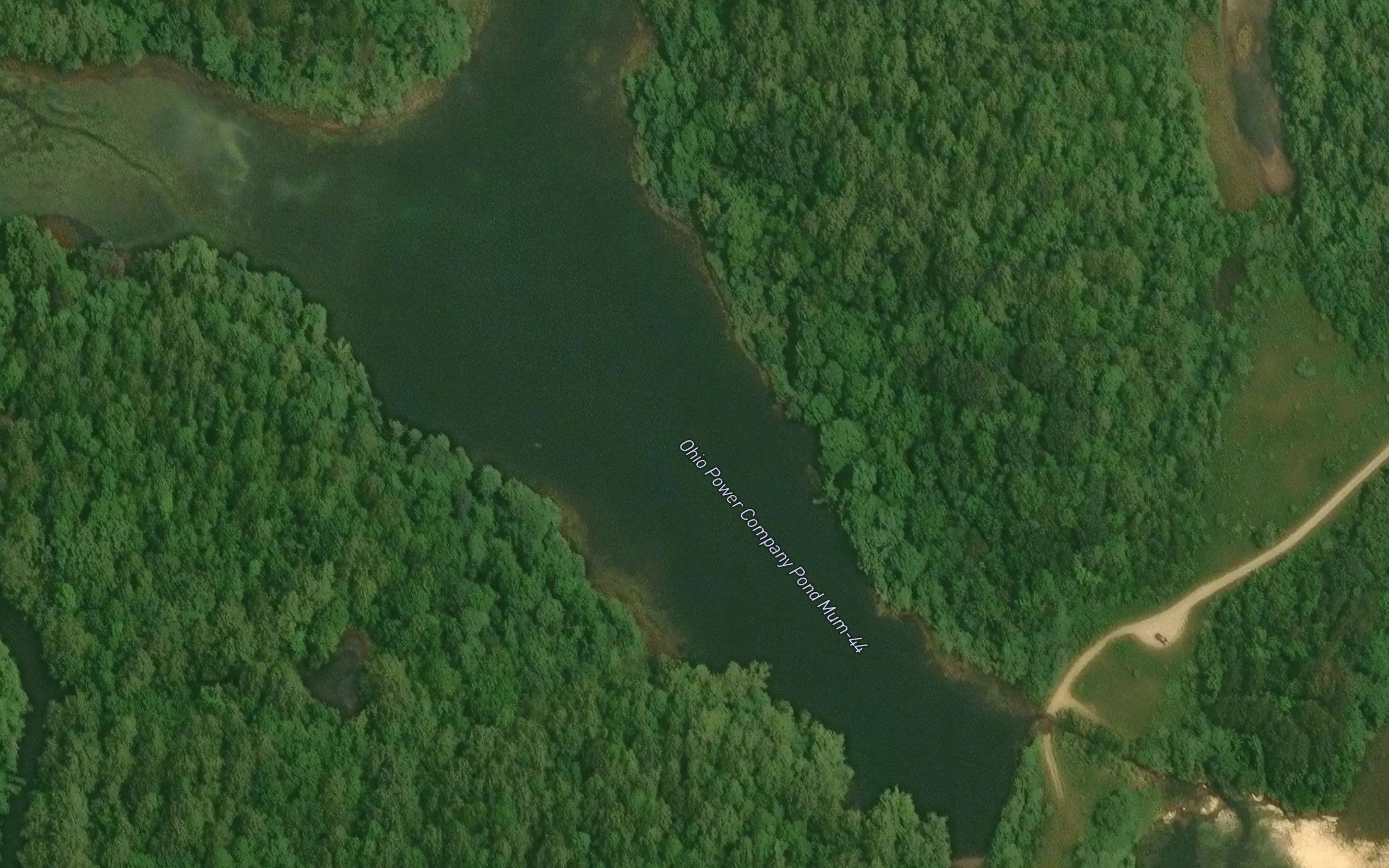 Ohio Power Company Pond Mum-40