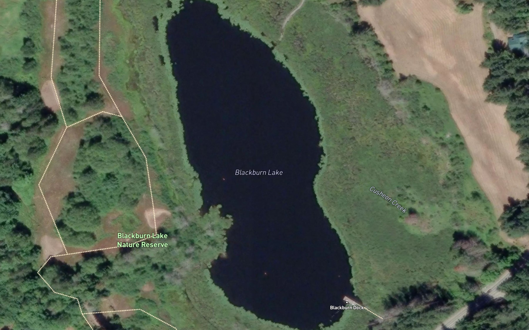 Satellite map of the Blackburn Lake