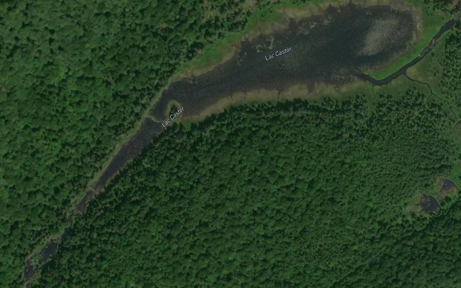 Satellite map of the Lac Castor