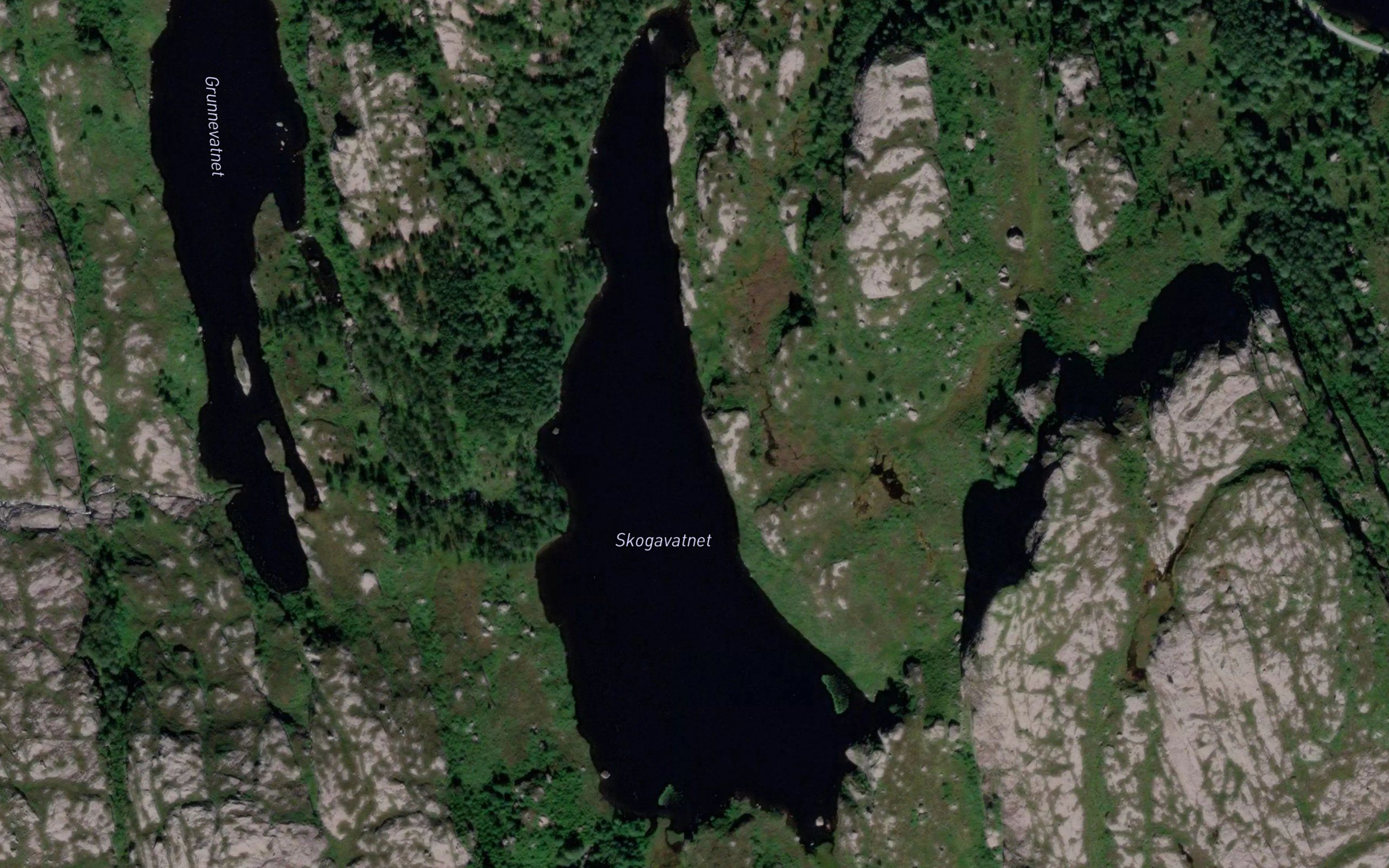 Skogavatnet