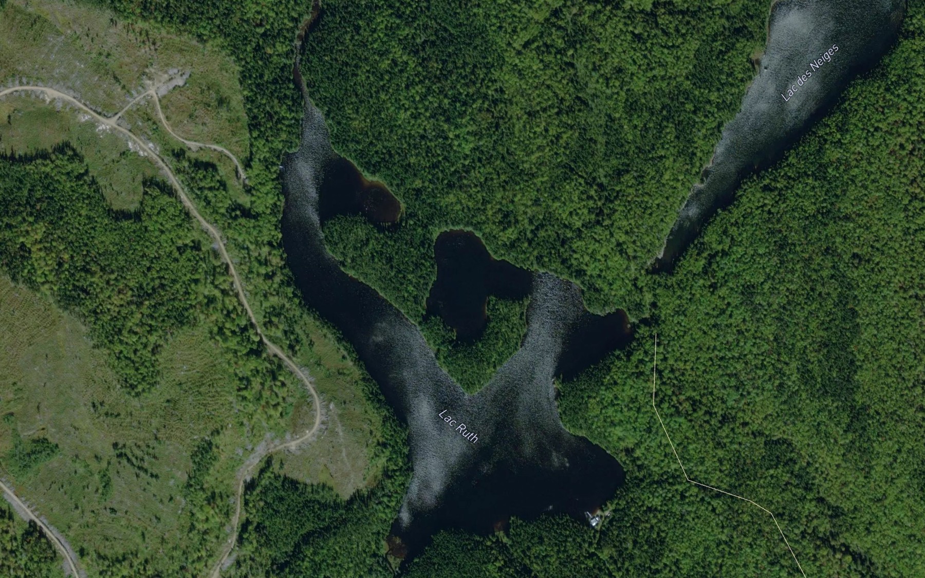 Satellite map of the Lac Ruth